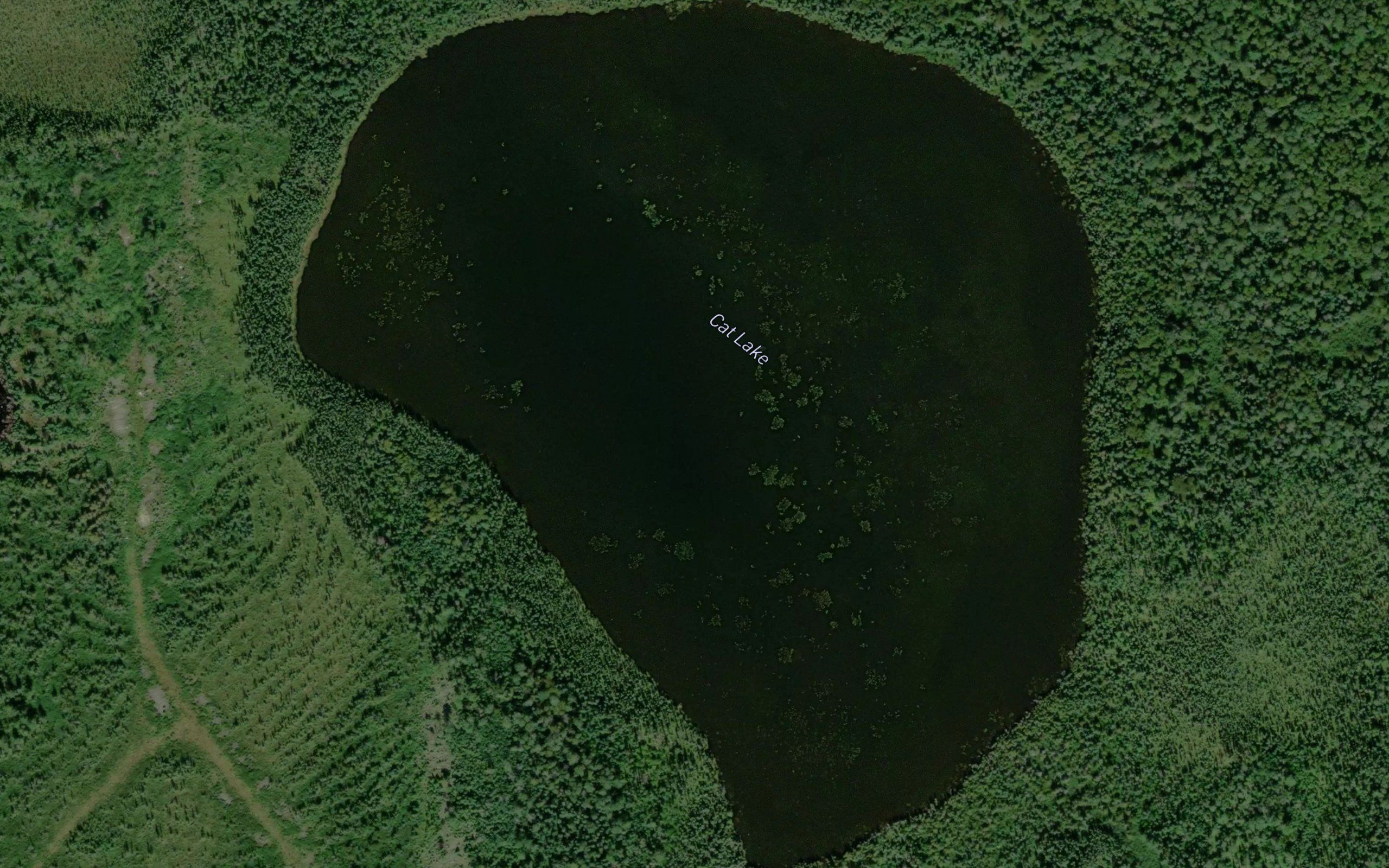 Cat Lake