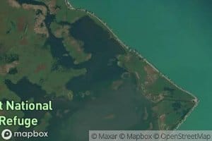 Back of Howells Pond