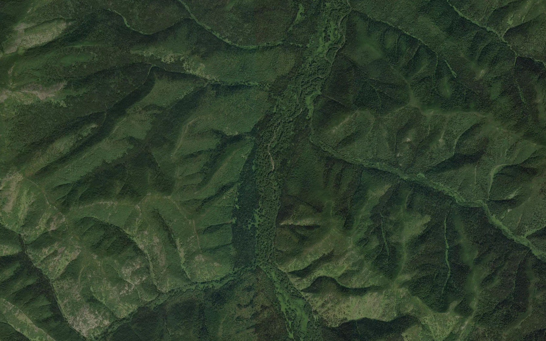 Satellite map of the Levyy Taykan