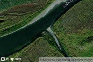 Nyulik