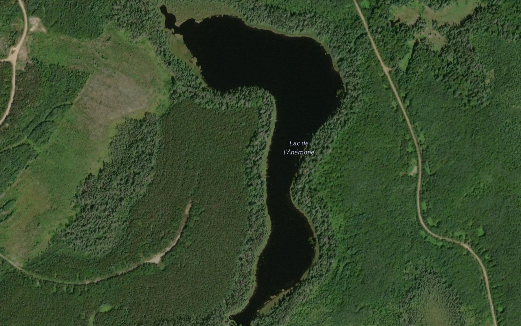 Satellite map of the Lac de l'Anemone
