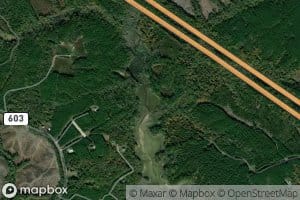 Beaverdam Creek