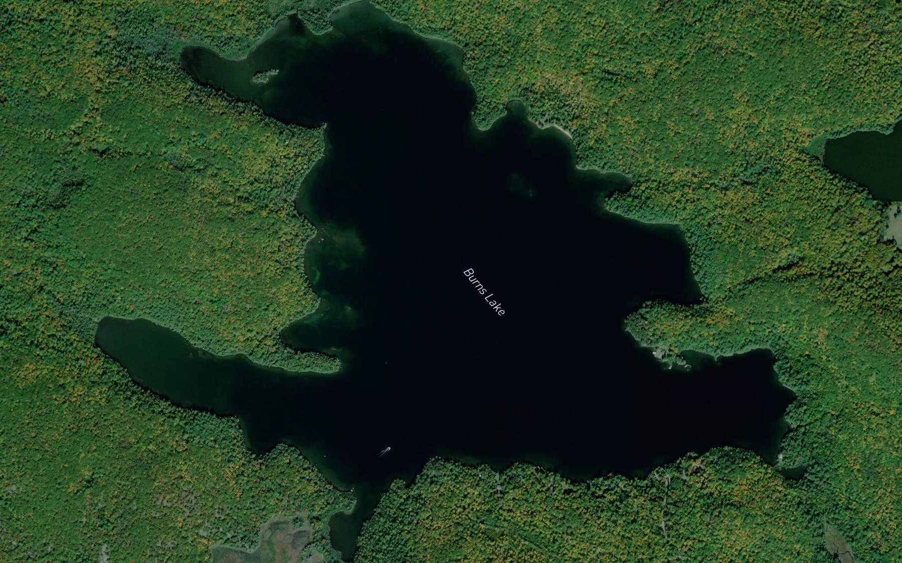 Satellite map of the Burns Lake