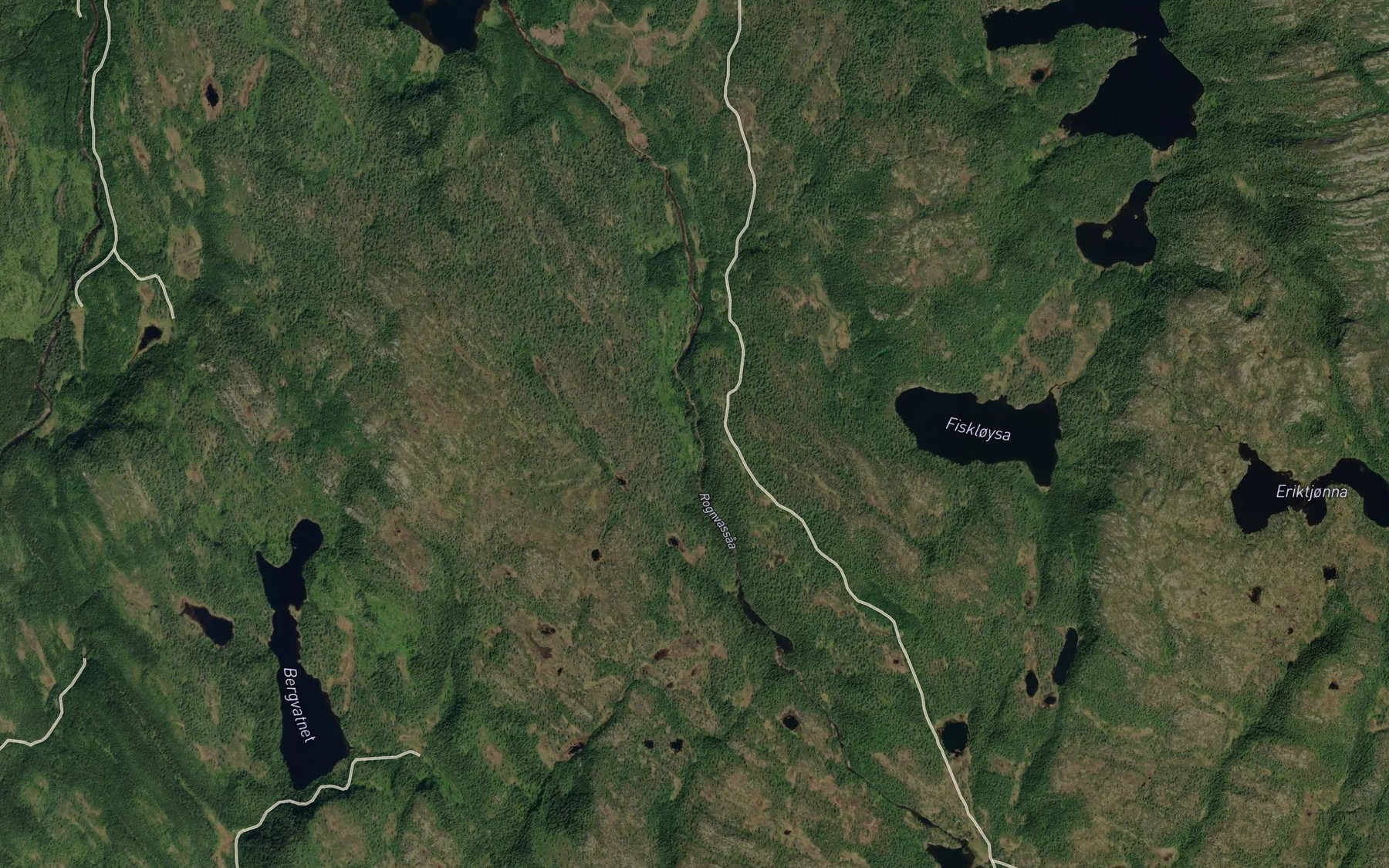 Satellite map of the Rognvasselva