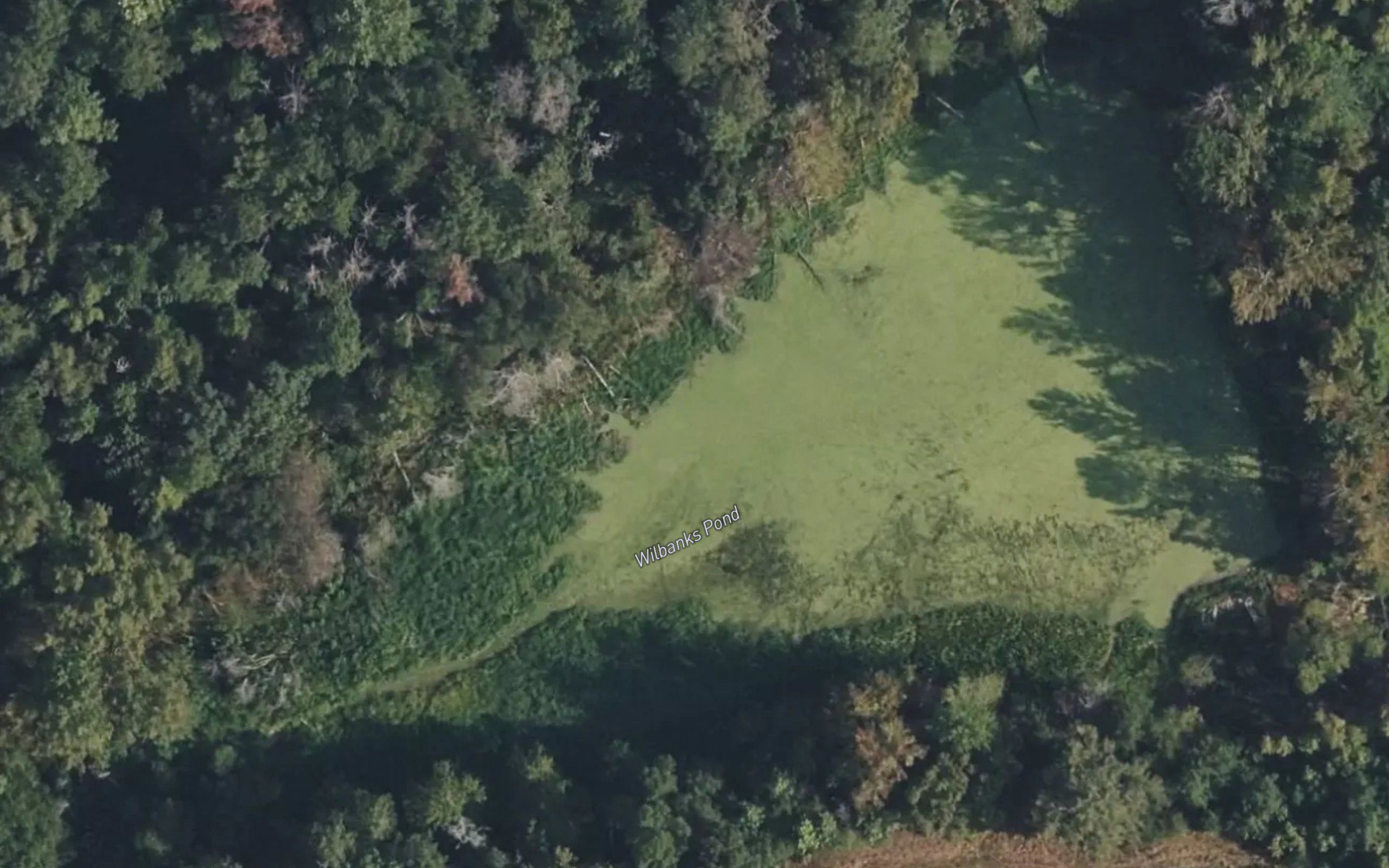 Wilbanks Pond