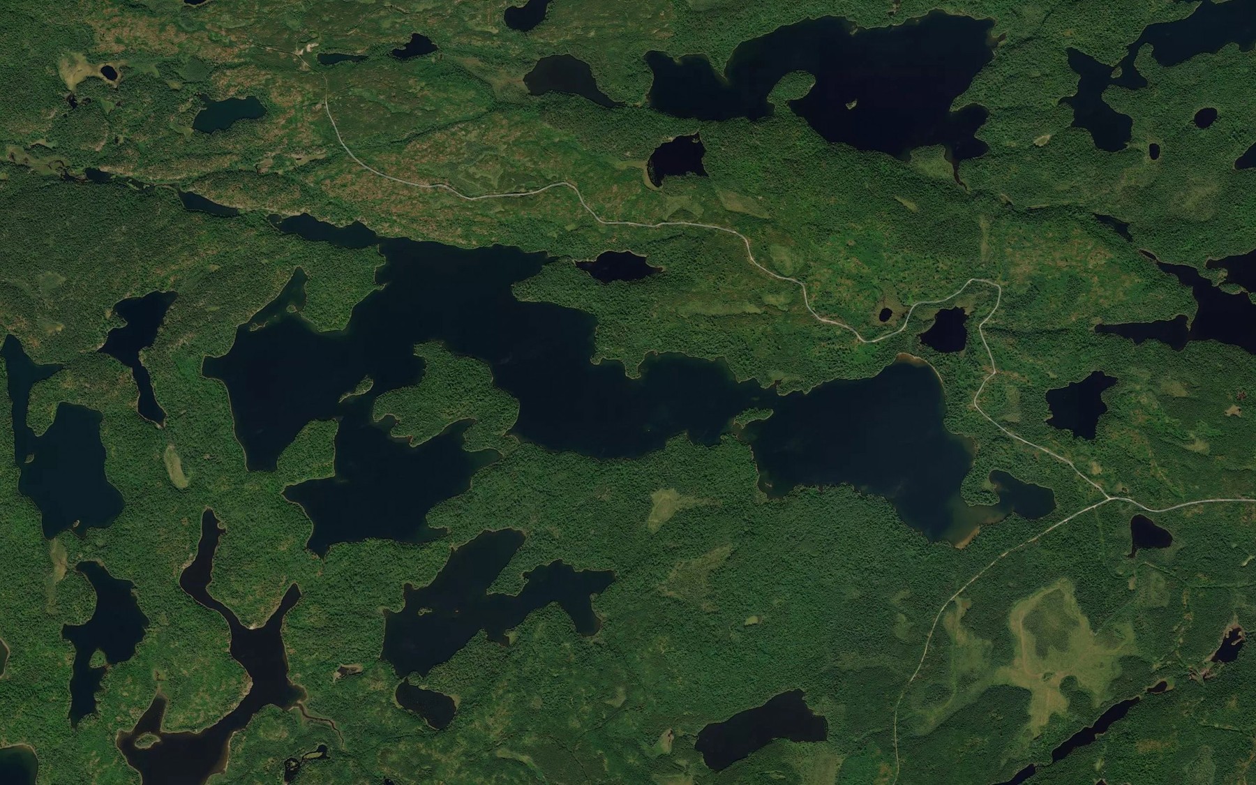 Satellite map of the Paddy Lake