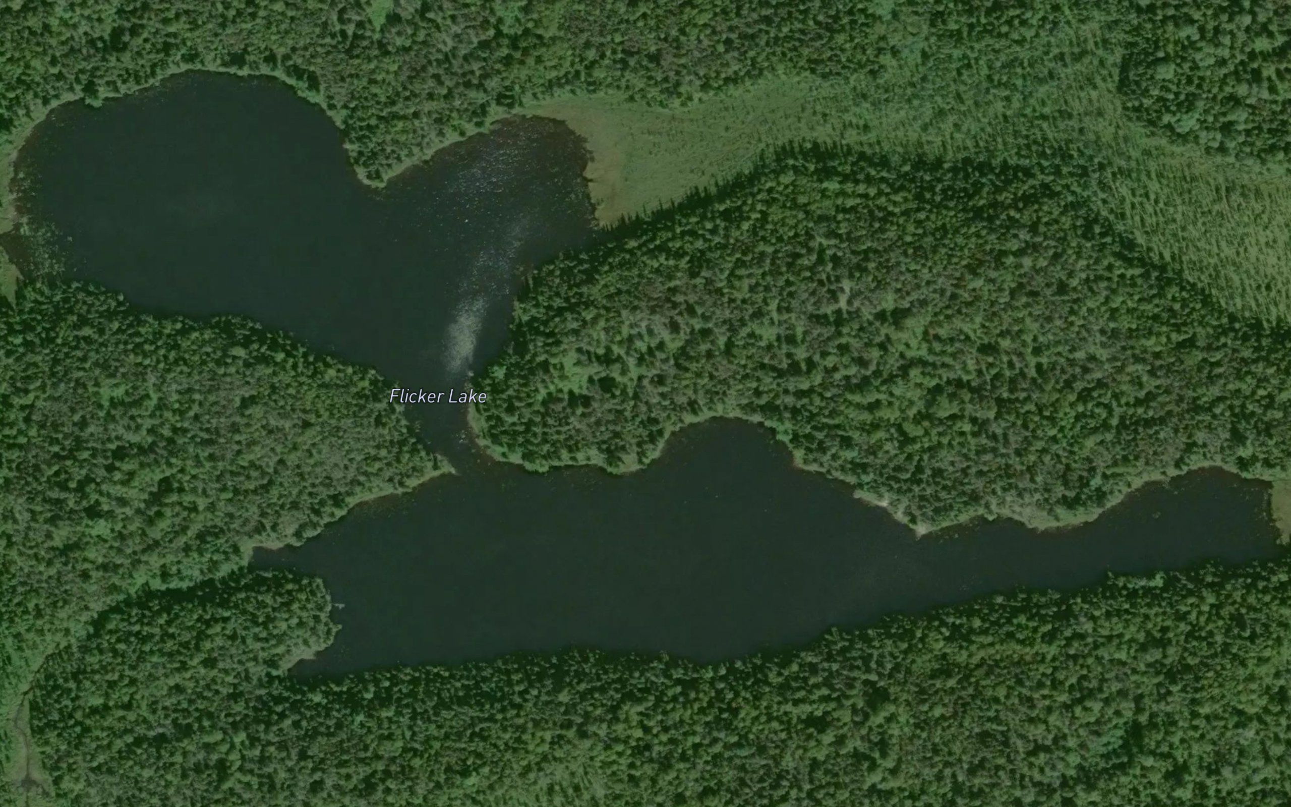Flicker Lake
