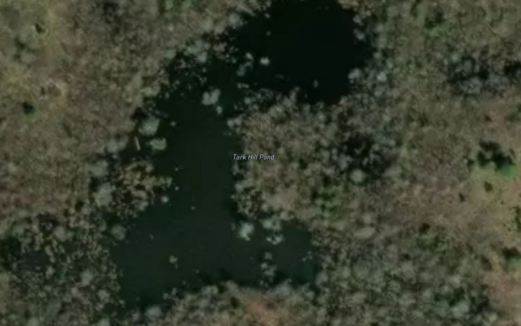Satellite map of the Tark Hill Pond