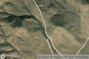 Chicken Spring