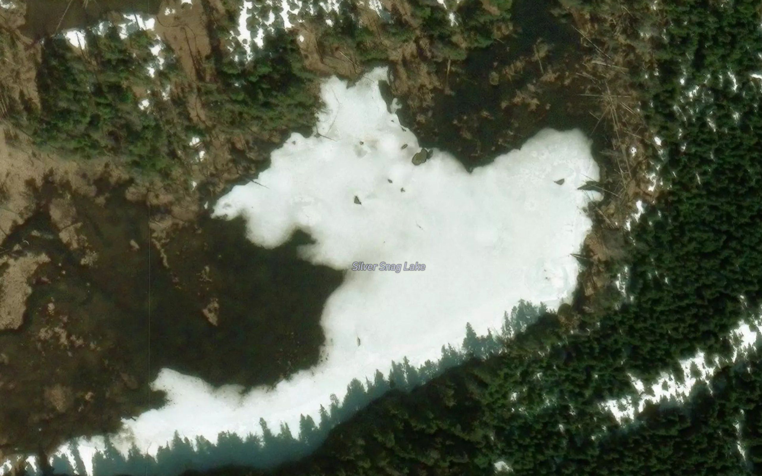 Silver Snag Lake