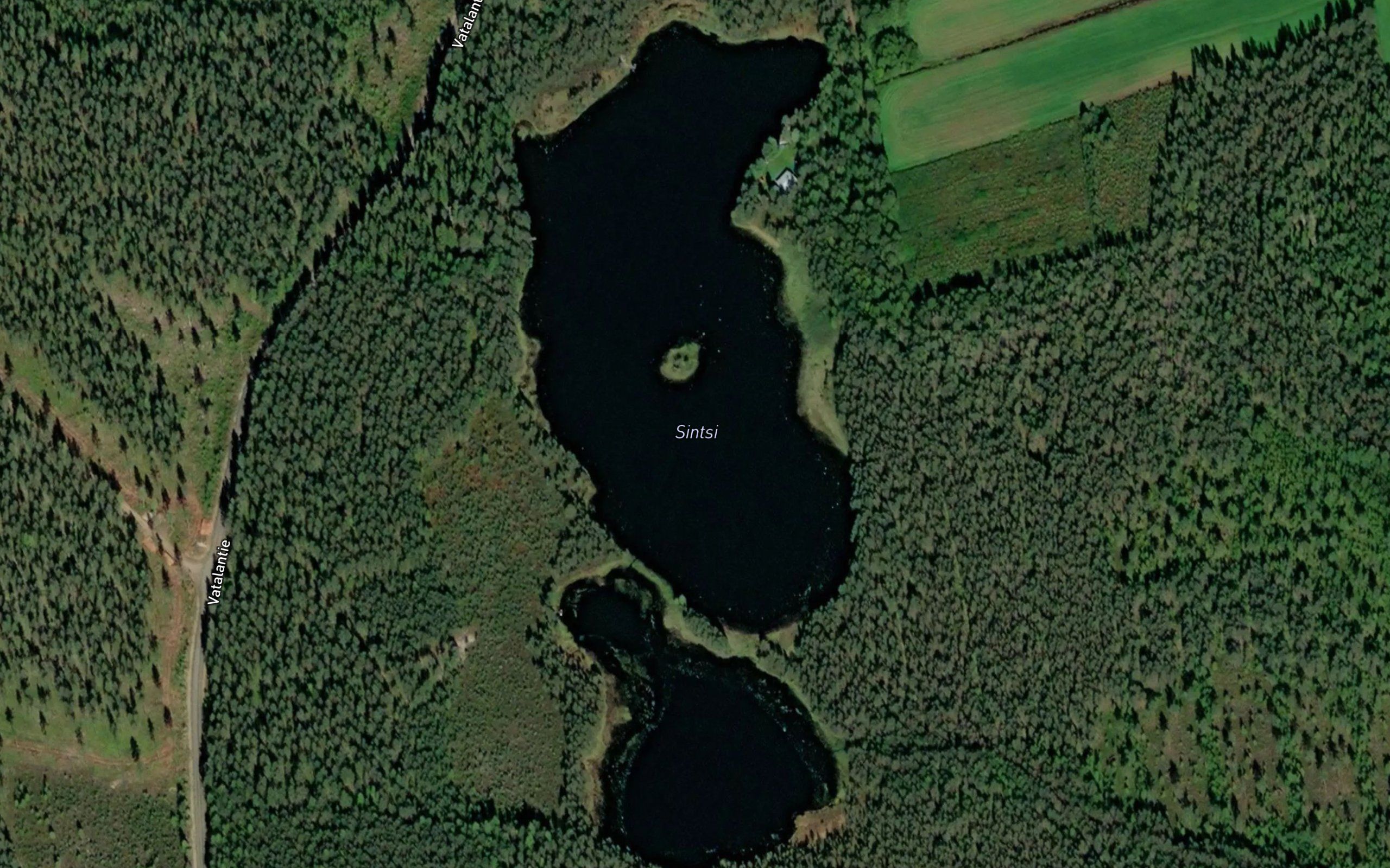 Sintsi