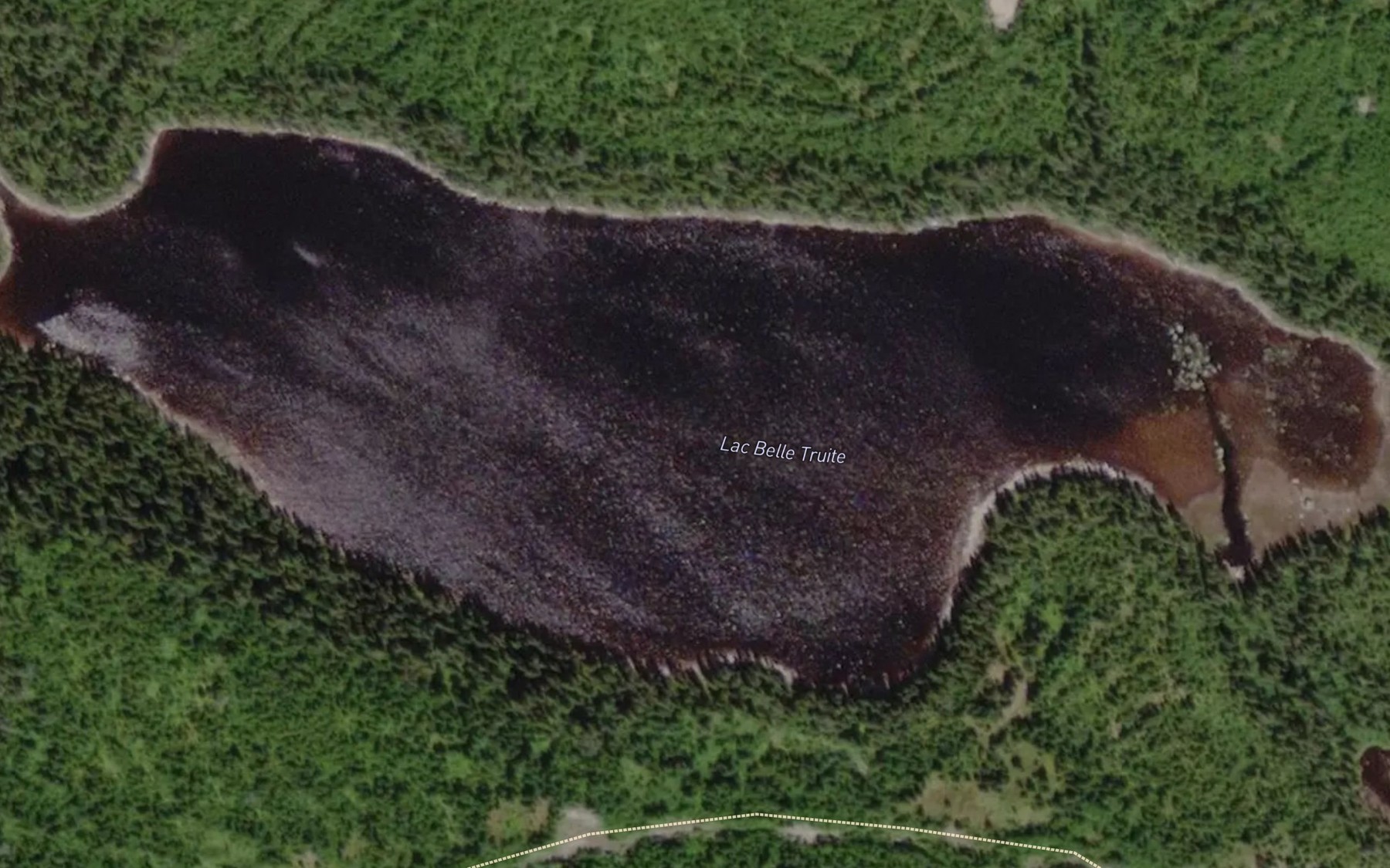 Satellite map of the Lac Belle Truite