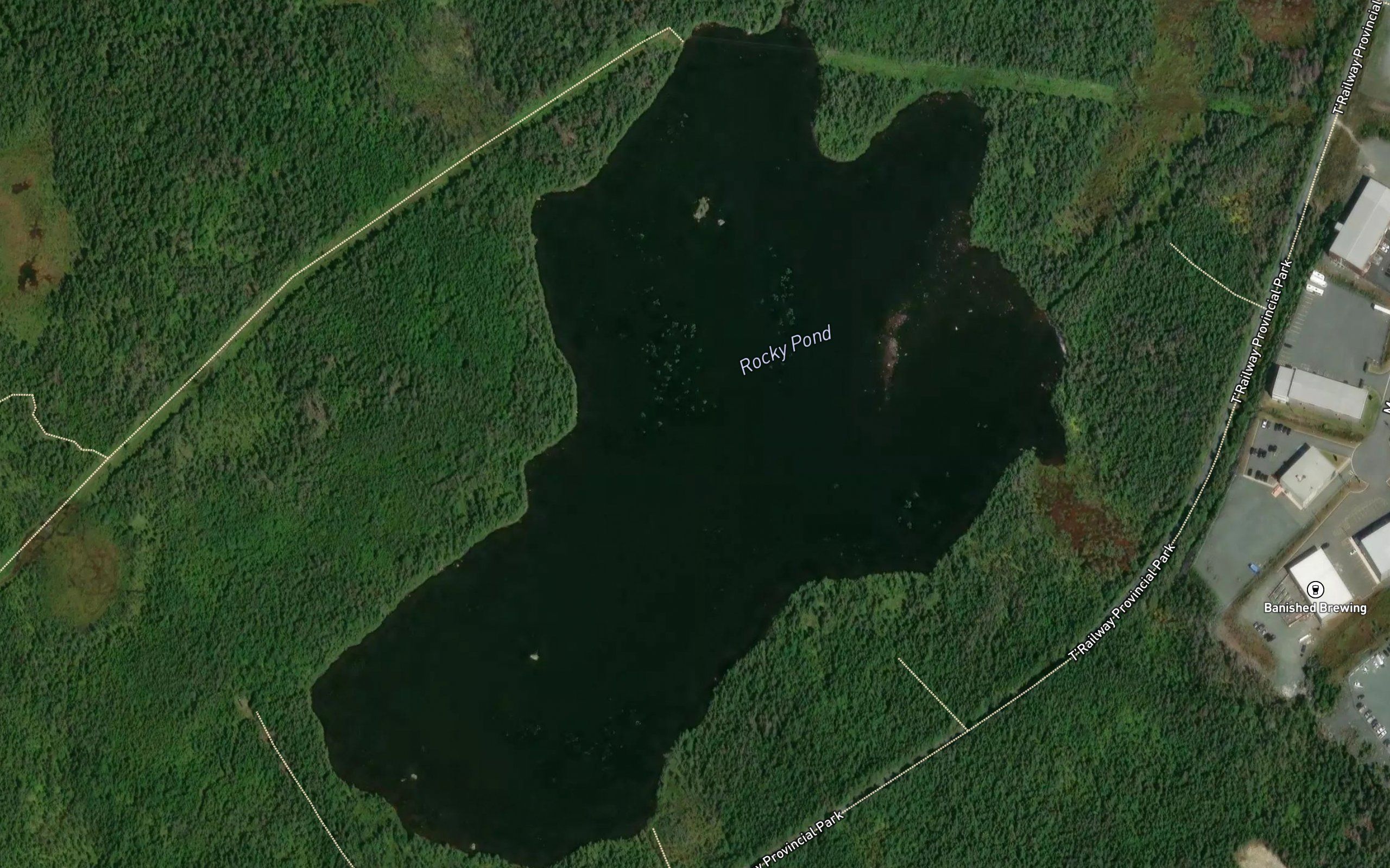 Rocky Pond