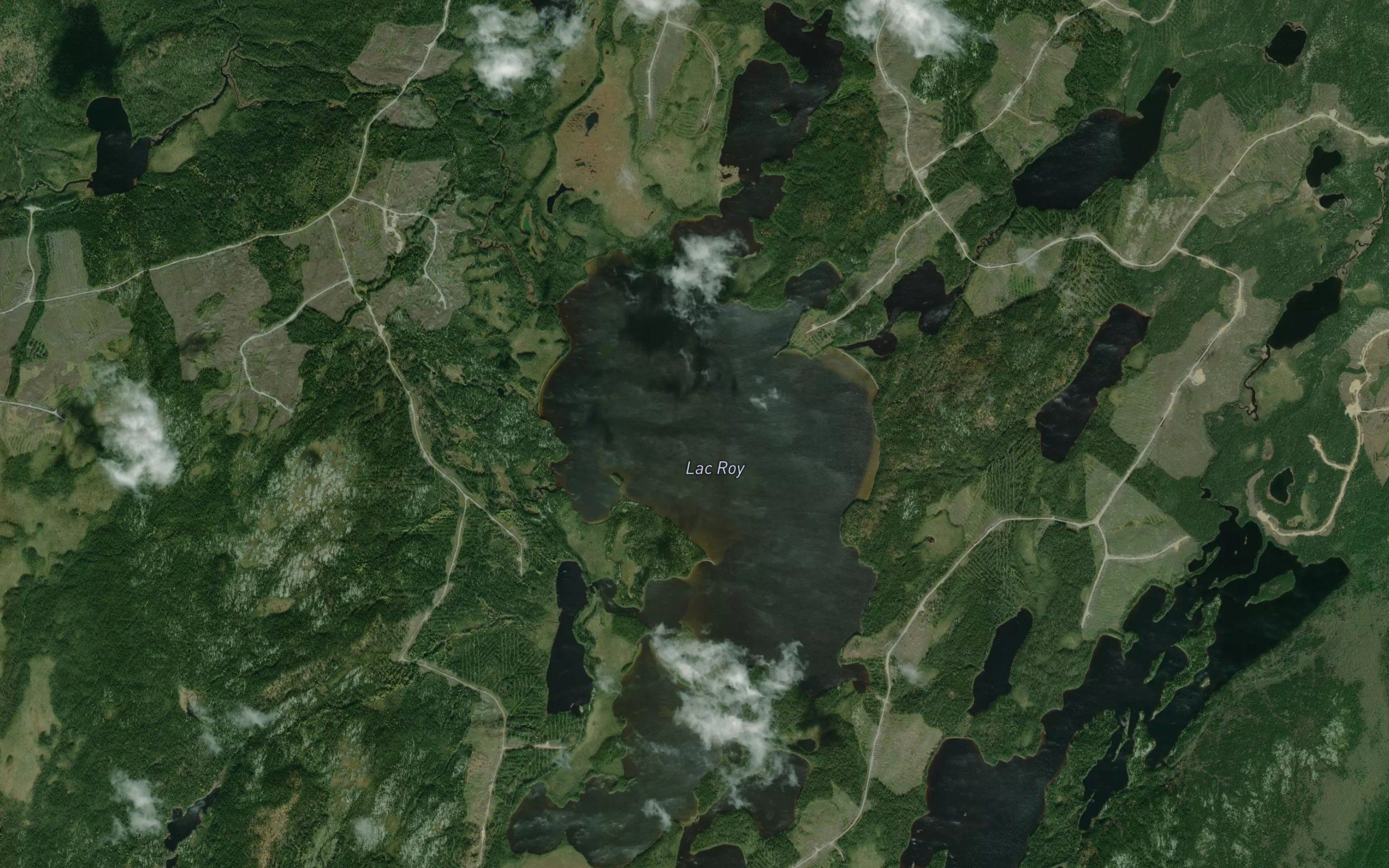 Lac Roy