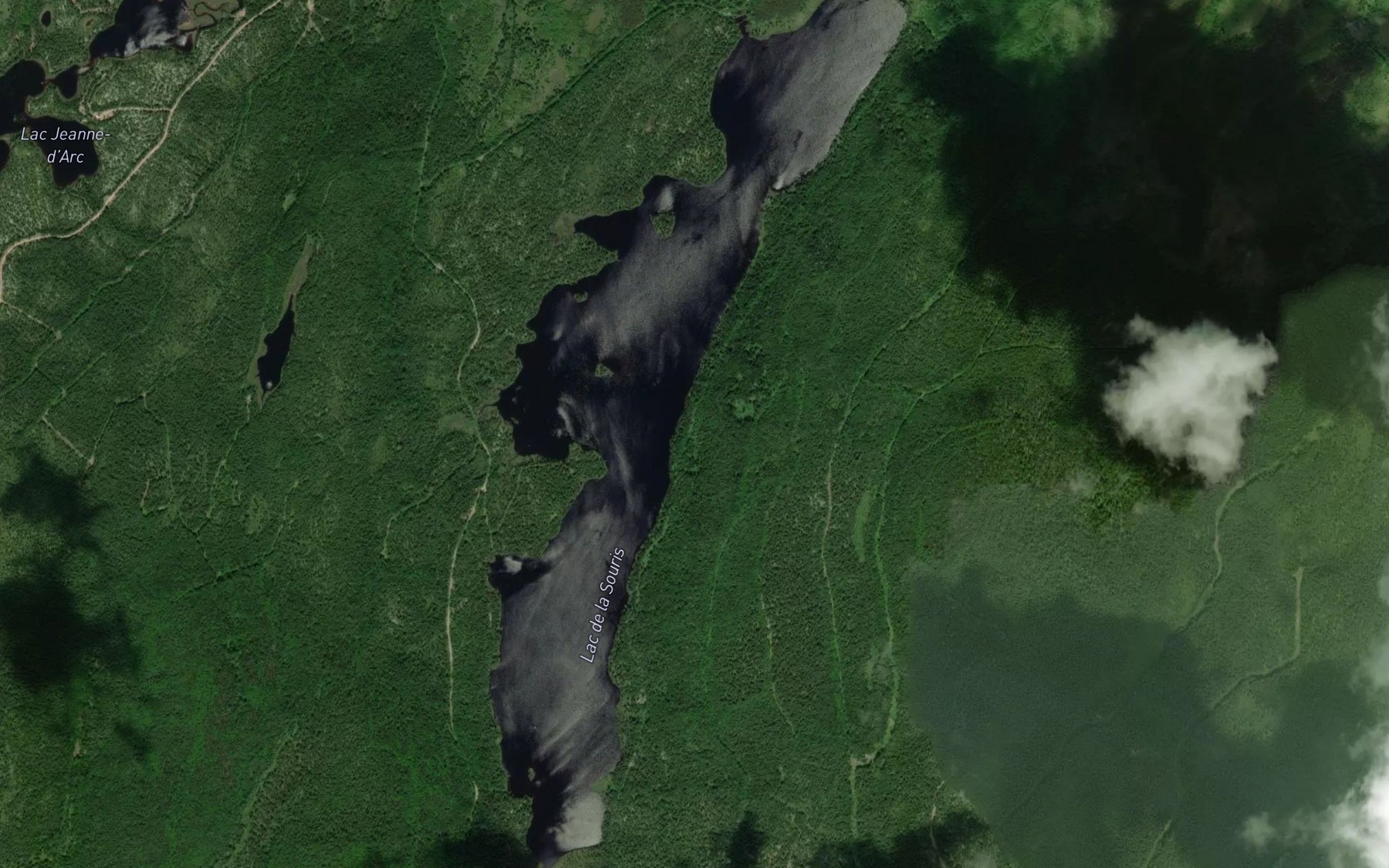 Satellite map of the Lac de la Souris