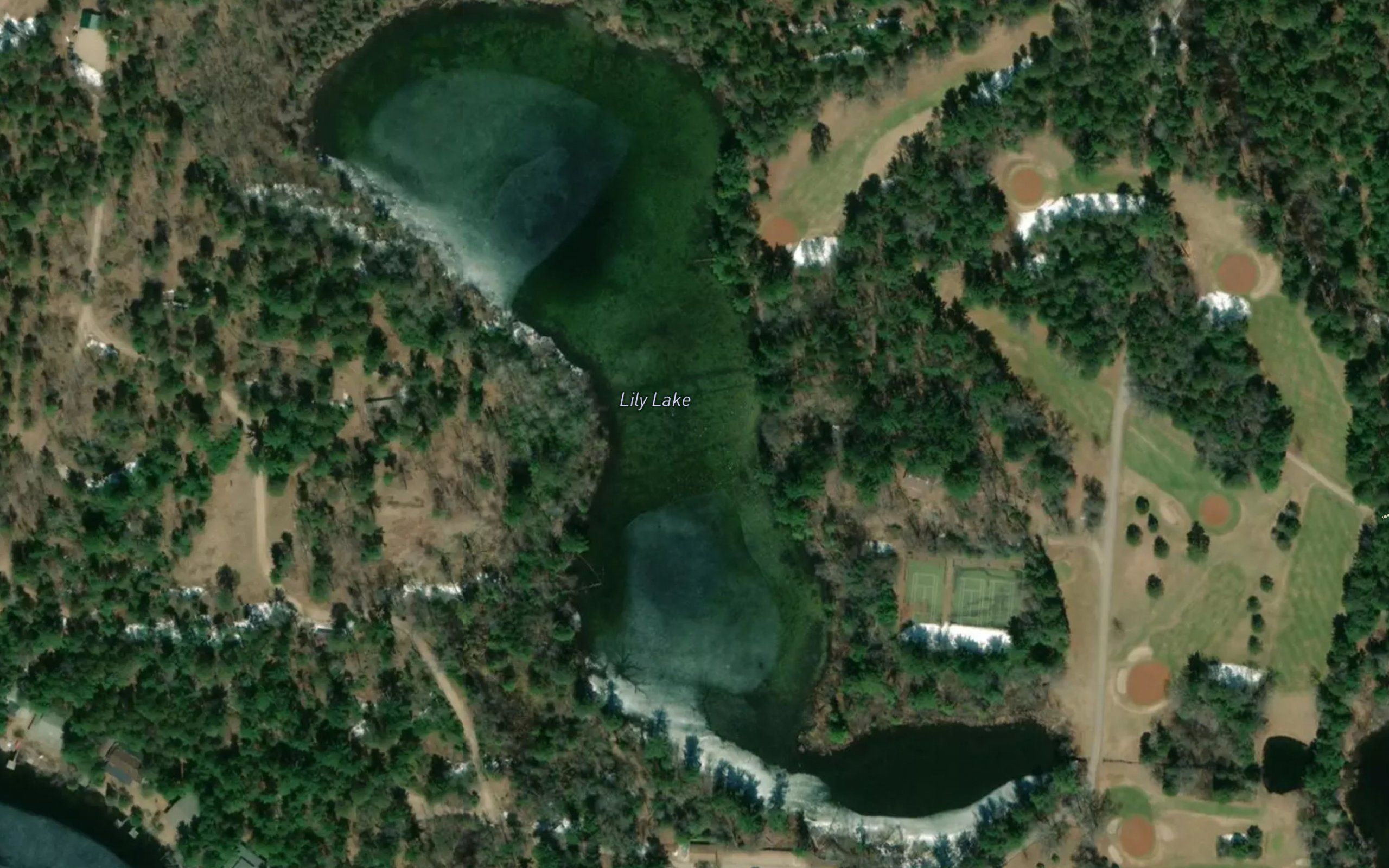Lily Lake
