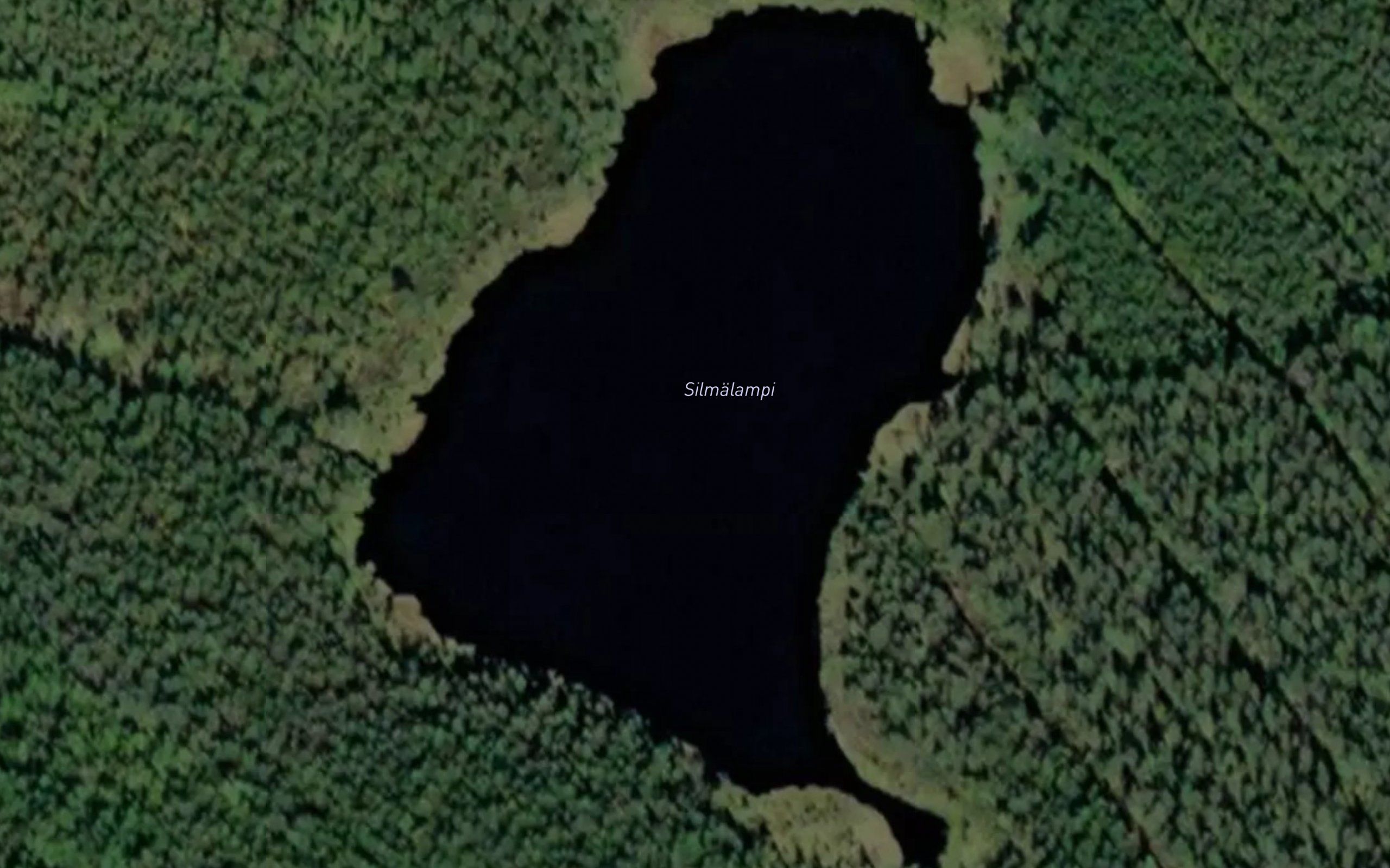 Silmalampi