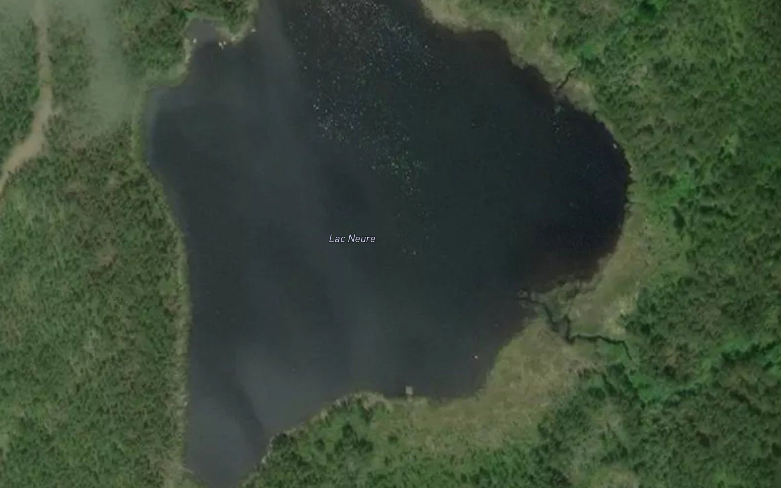 Lac Neure