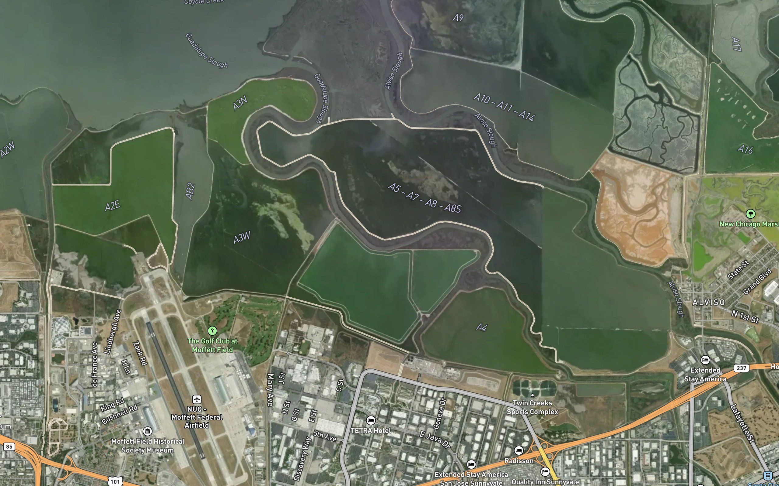 Guadalupe Slough