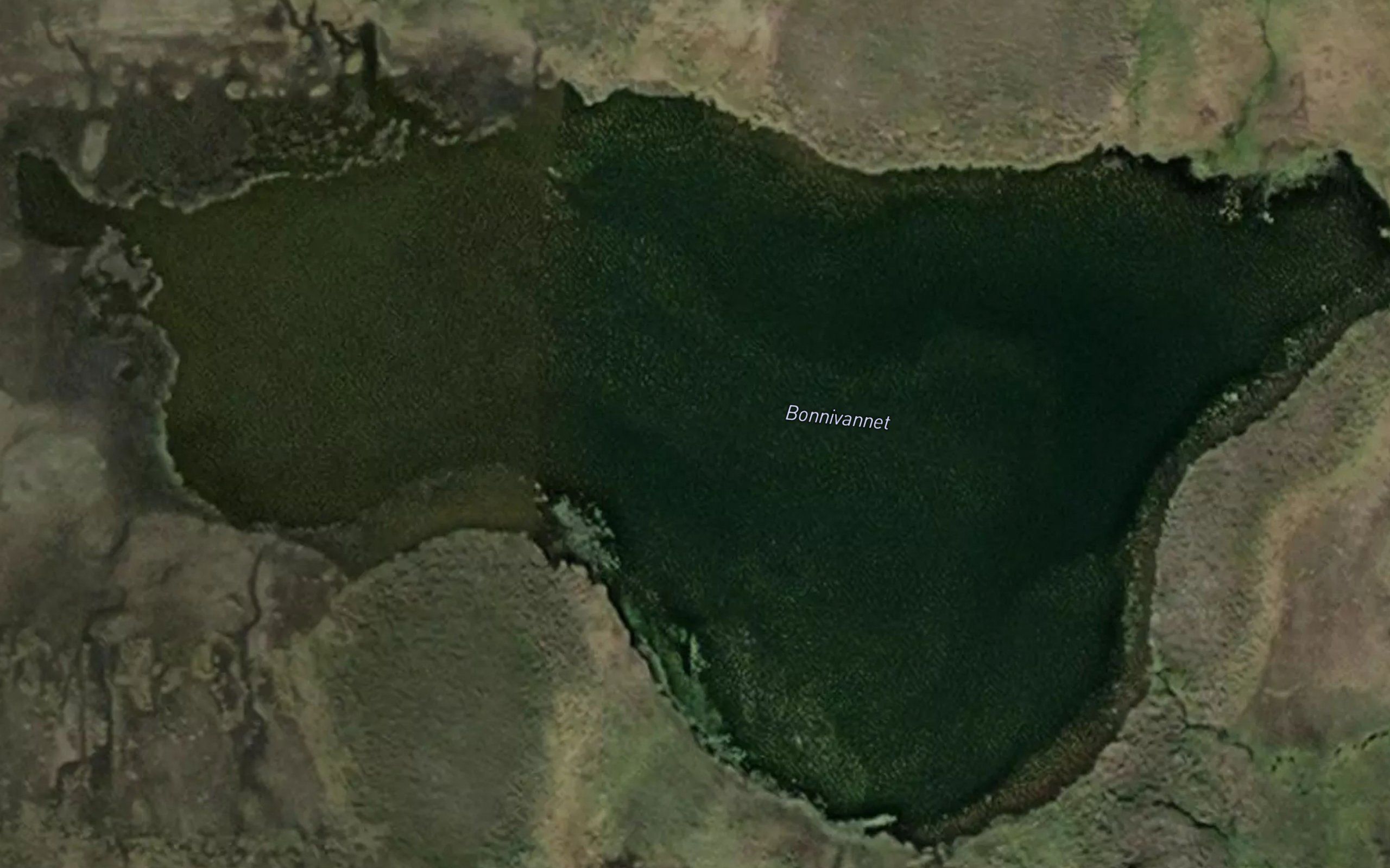 Bonnivannet