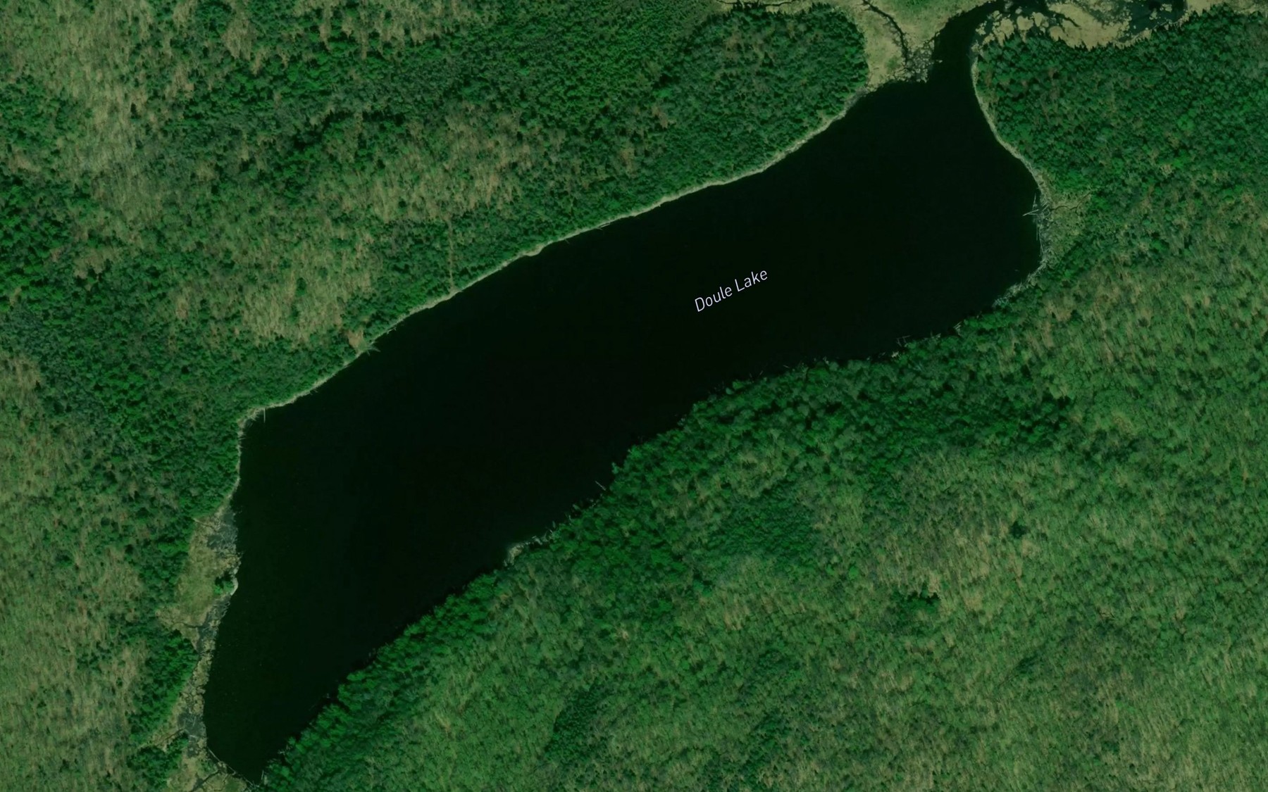 Satellite map of the Doule Lake