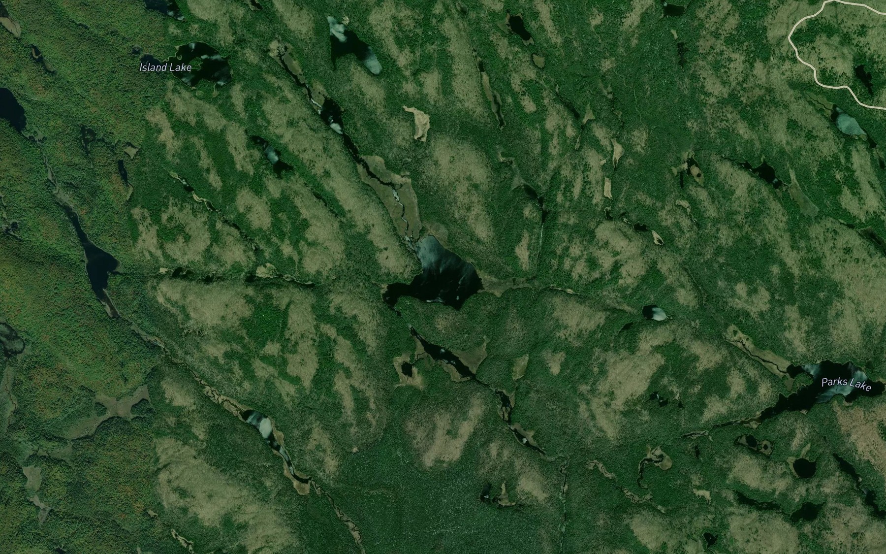 Satellite map of the Ring Lake