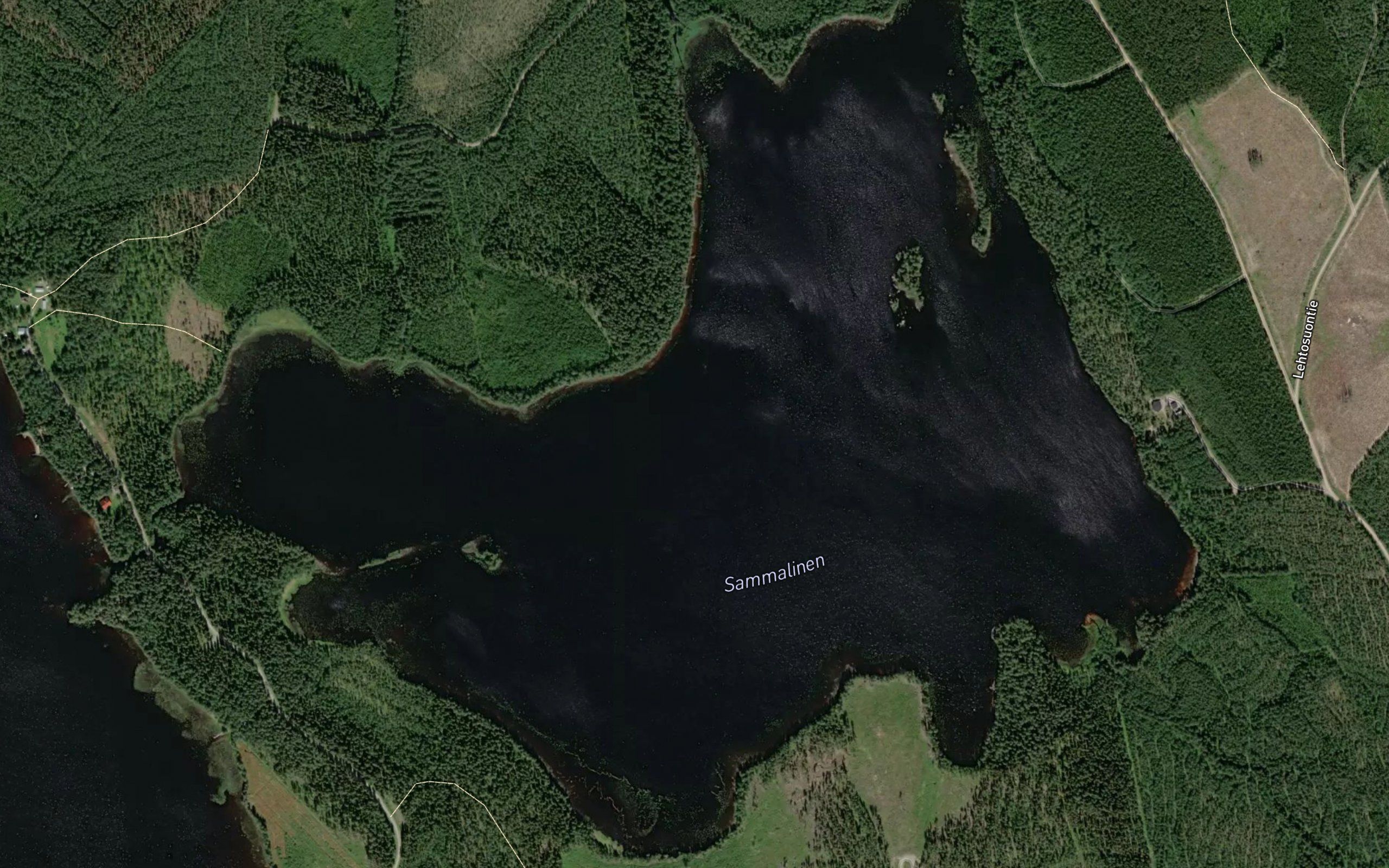 Sammalinen