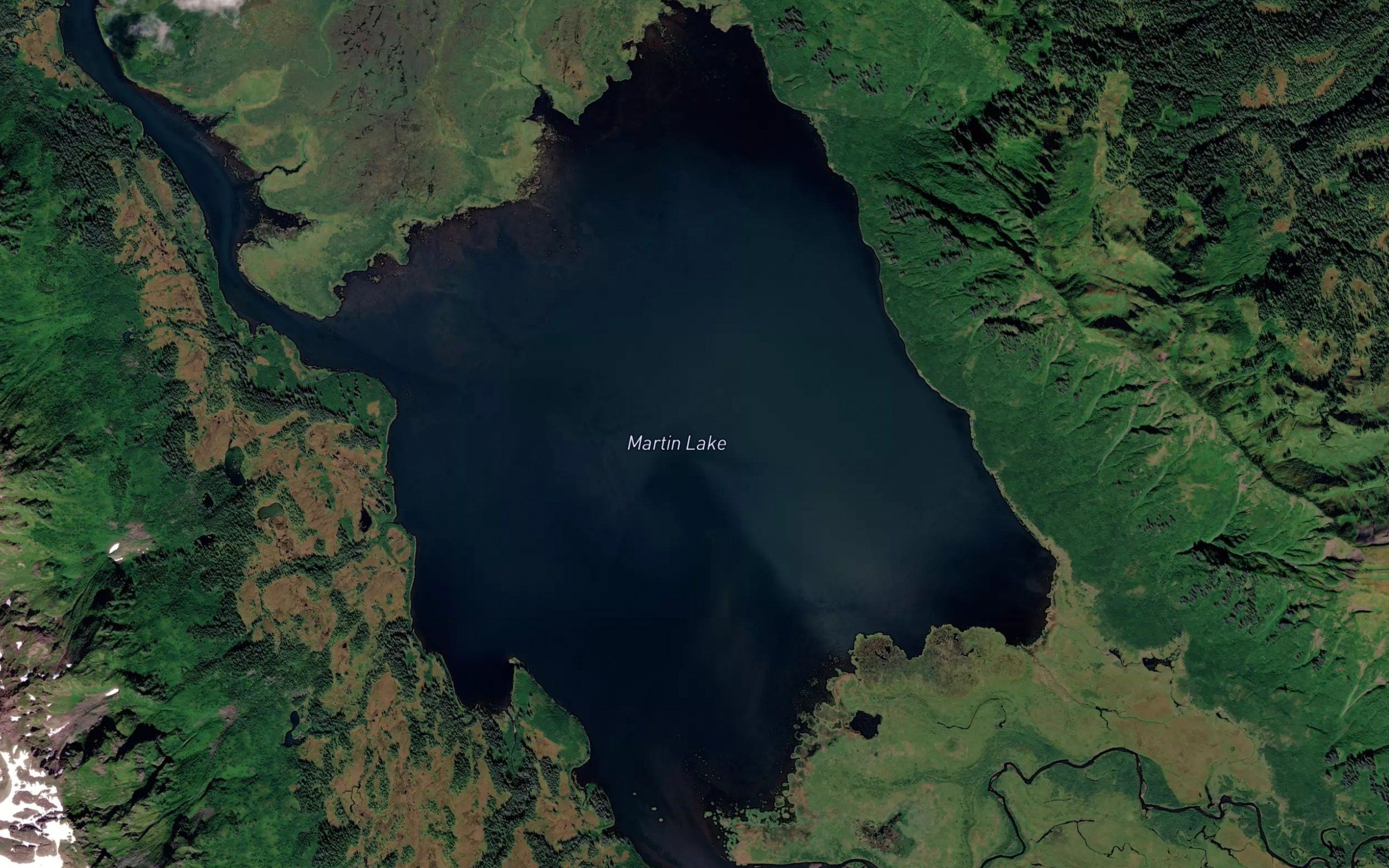 Martin Lake