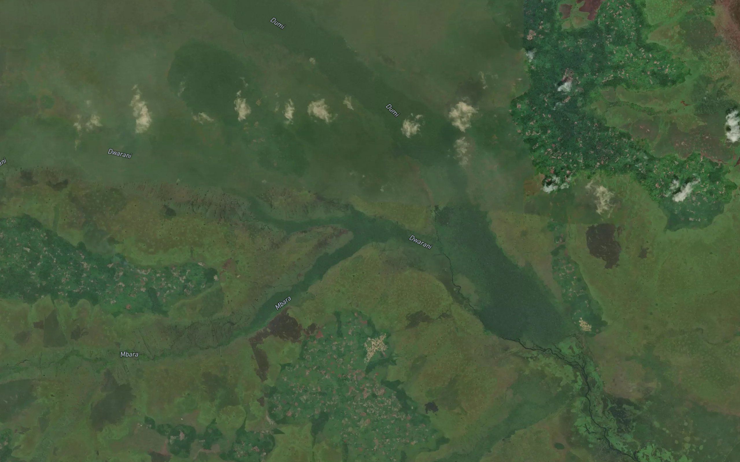 Dwarani