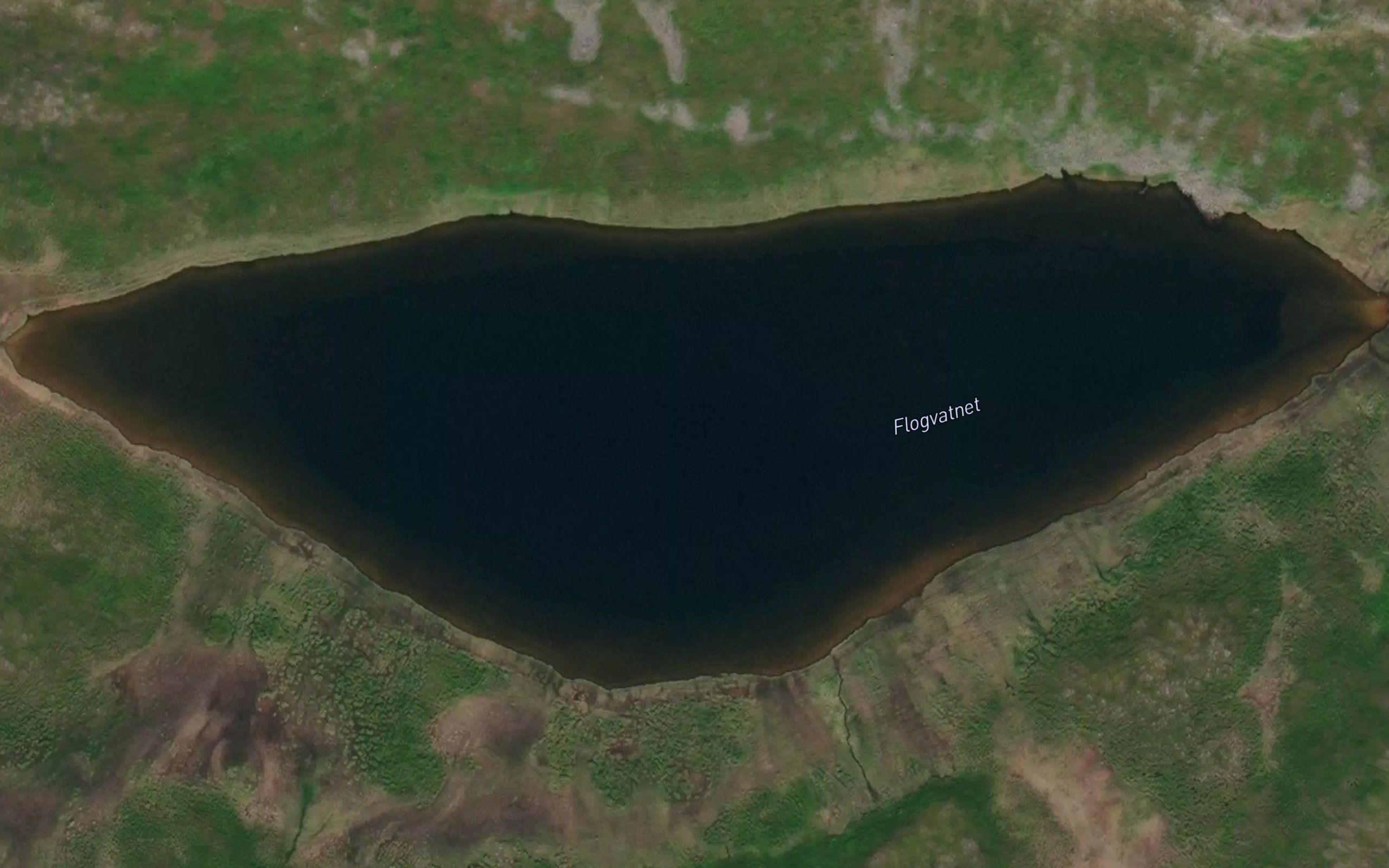Flogvatnet
