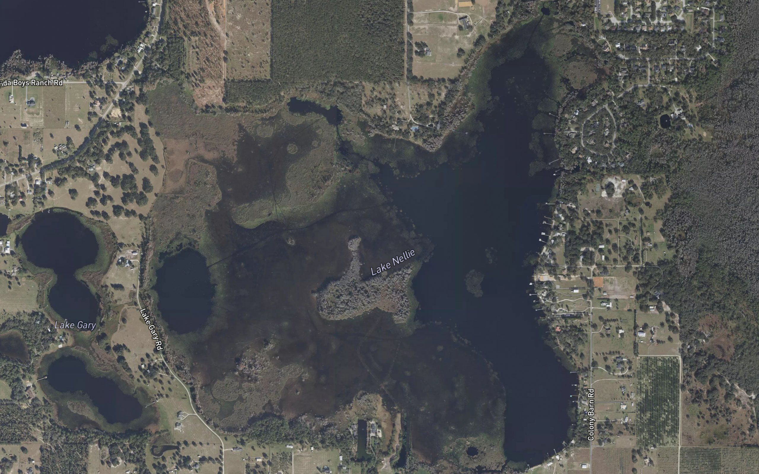 Lake Nellie