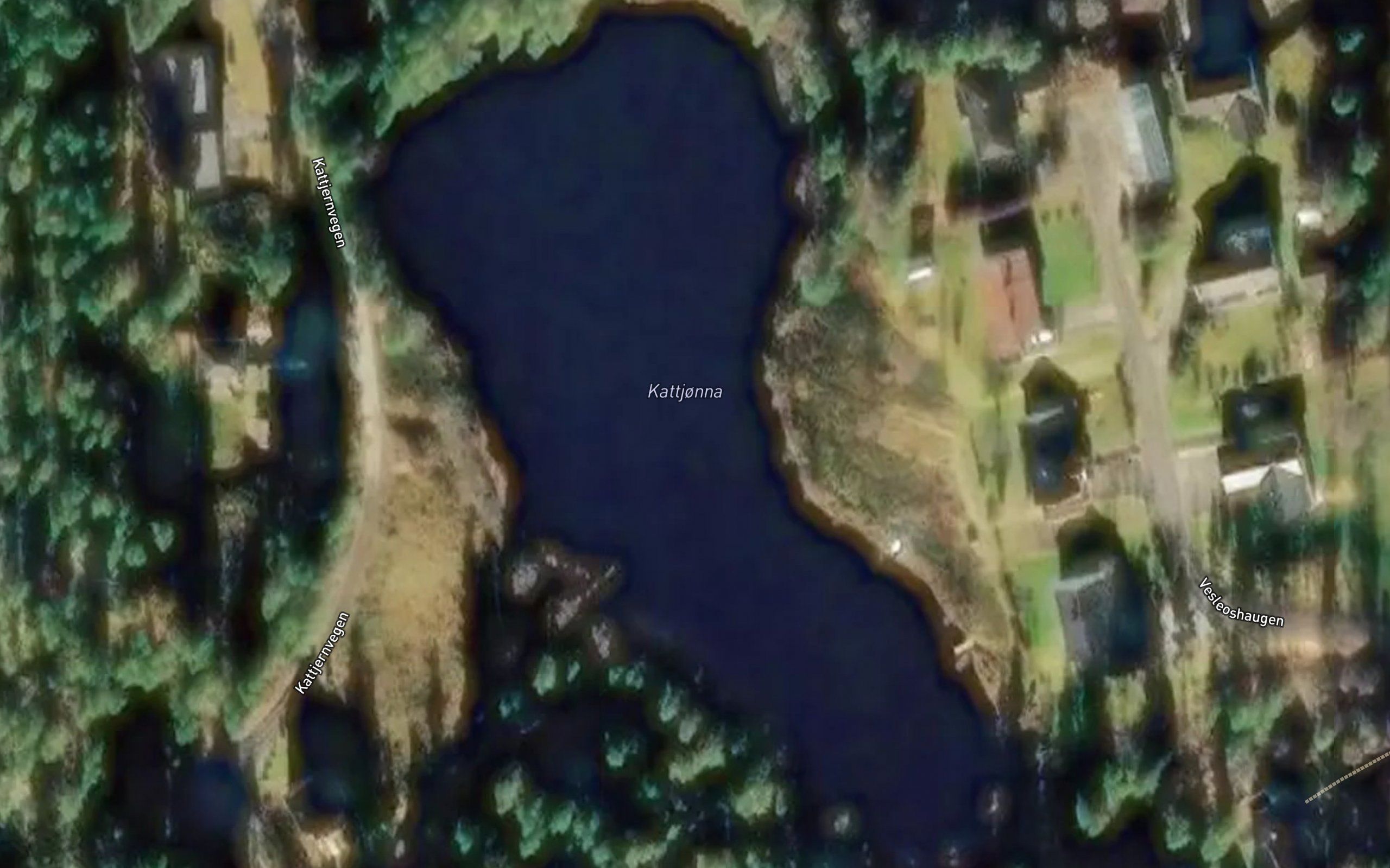 Kattjonna