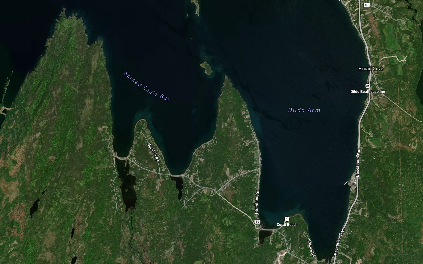 Satellite map of the Paulas Cove
