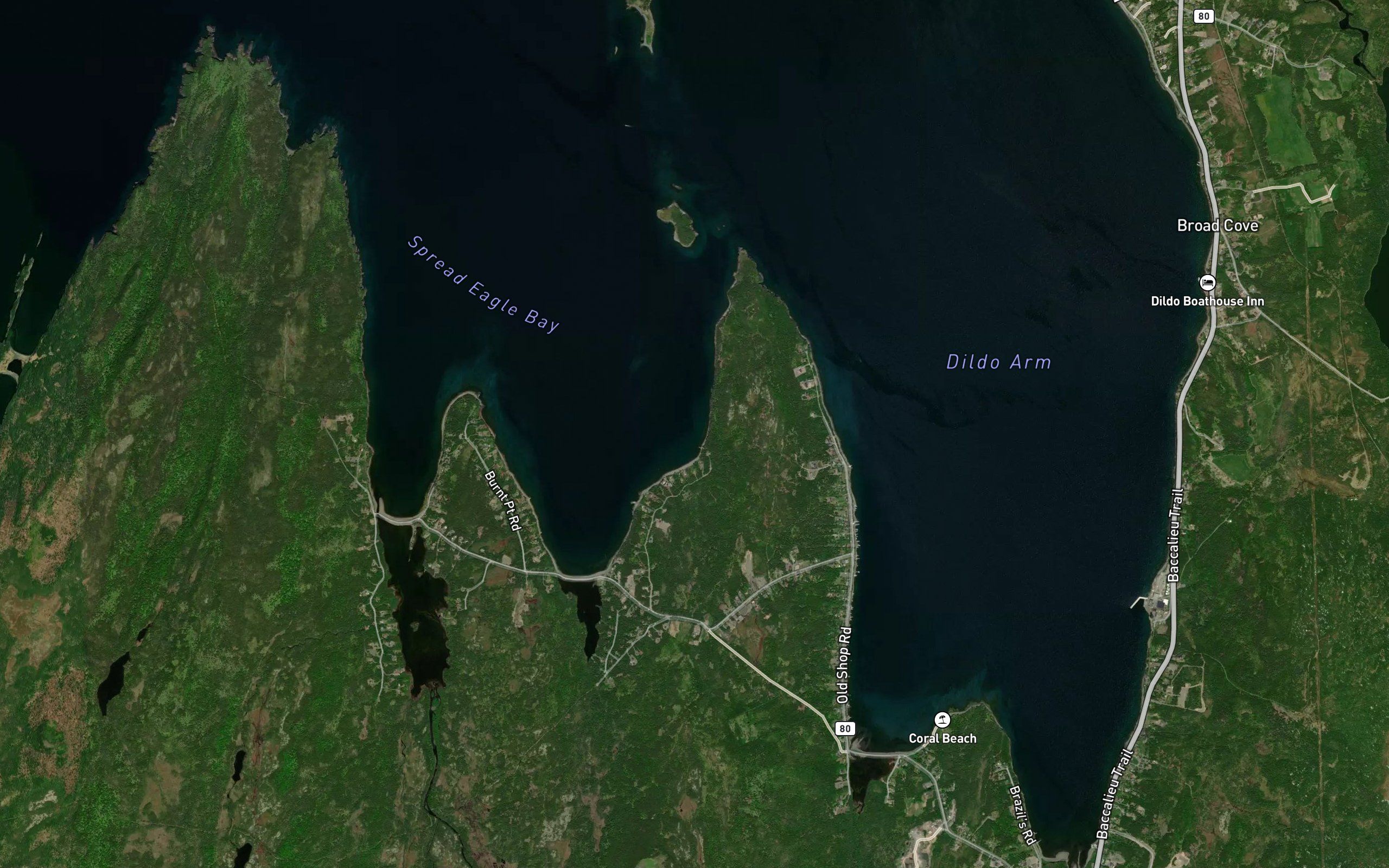 Paulas Cove
