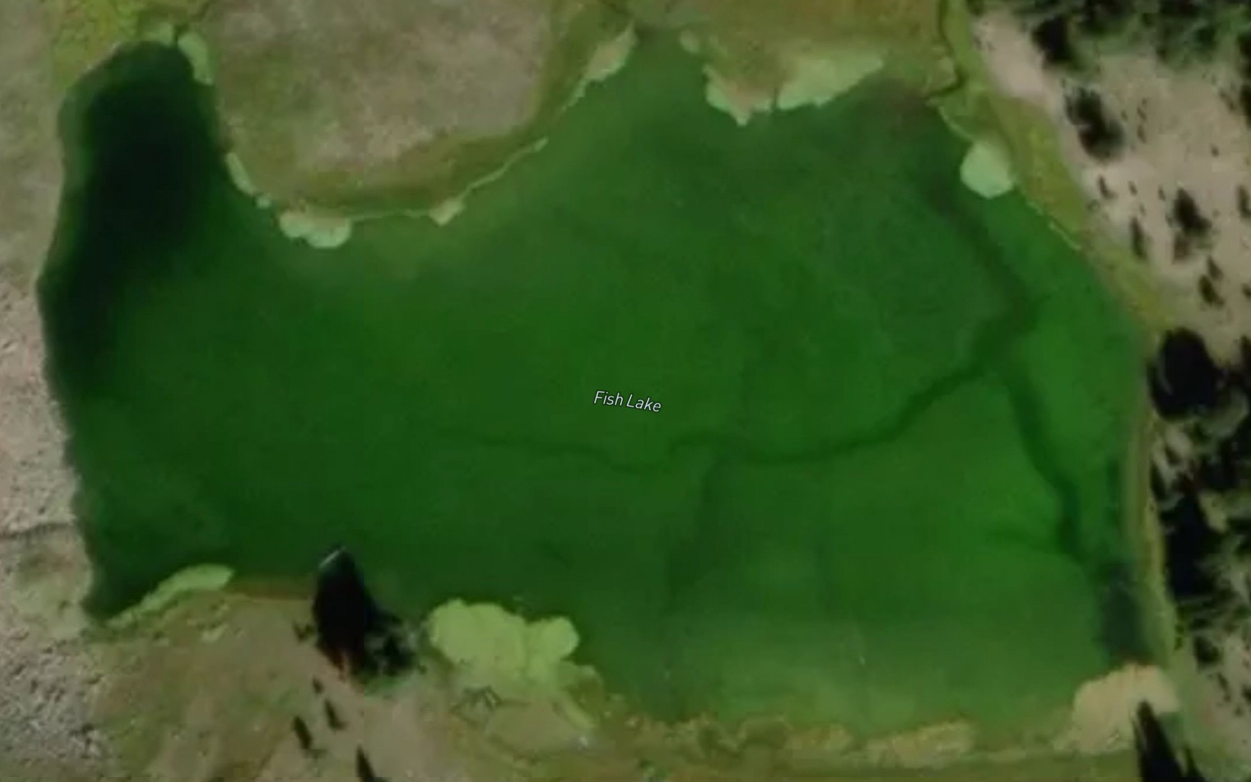 Satellite map of the Fish Lake