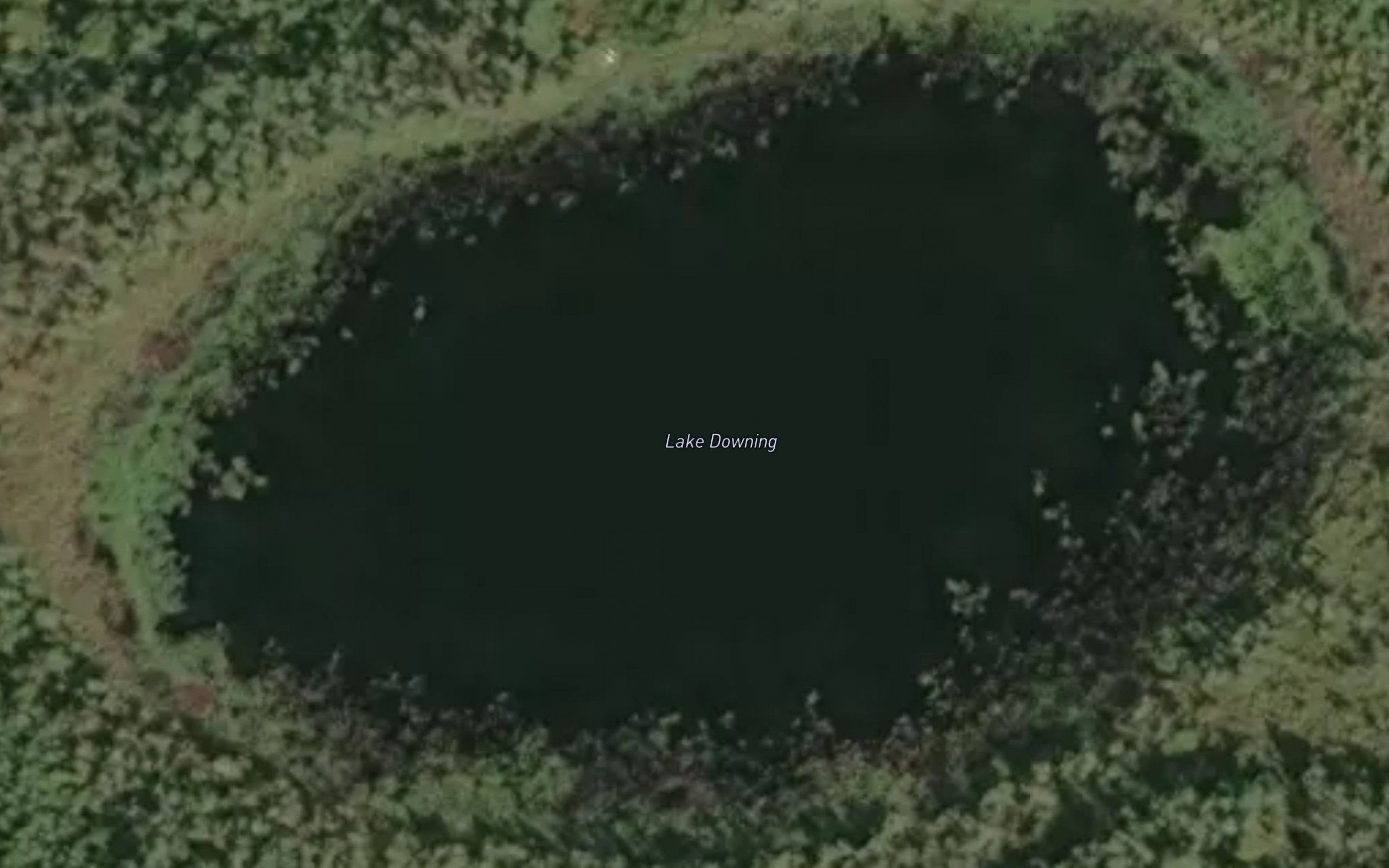 Lake Downing