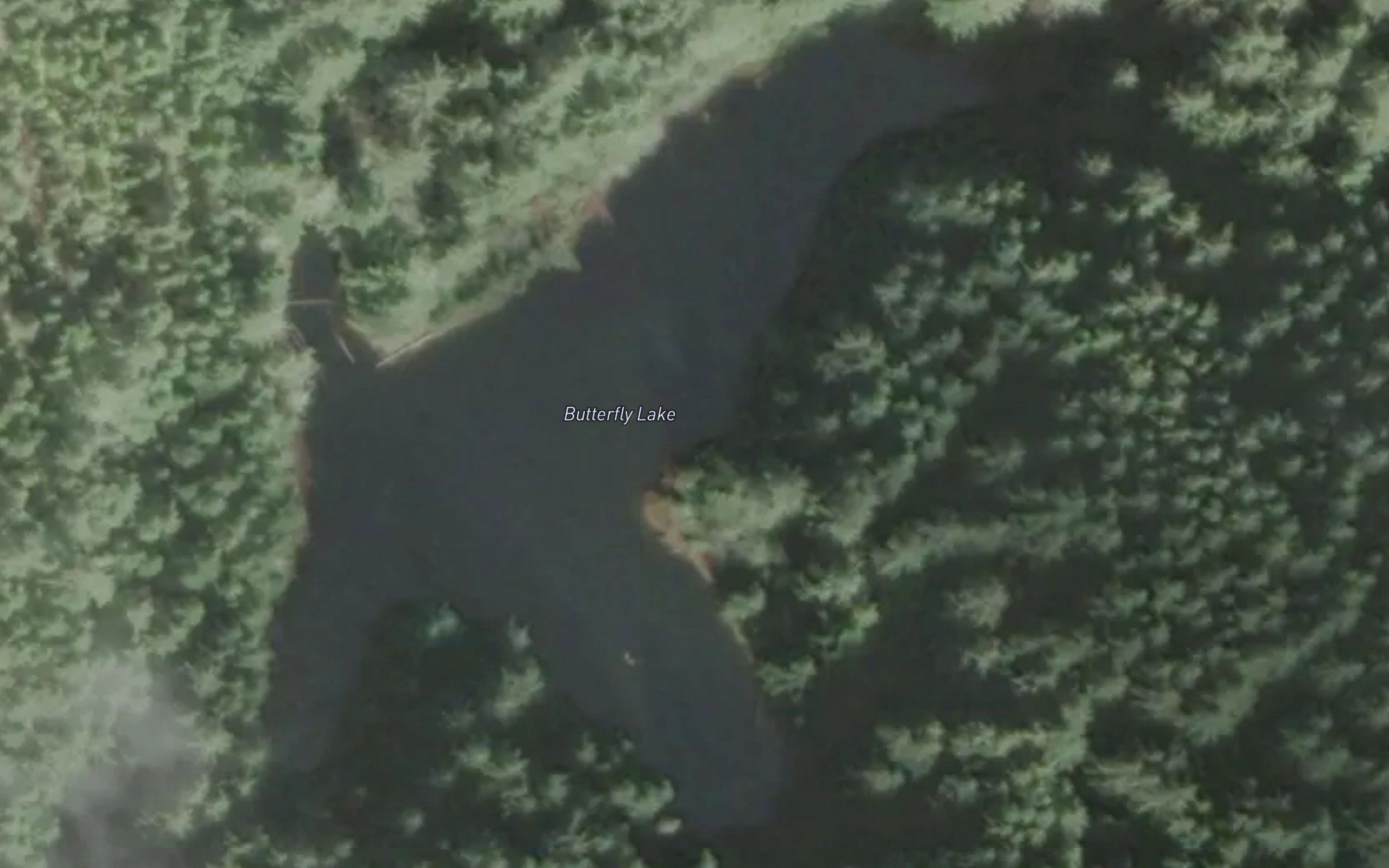 Butterfly Lake
