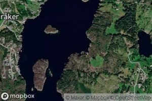 Gangstovika