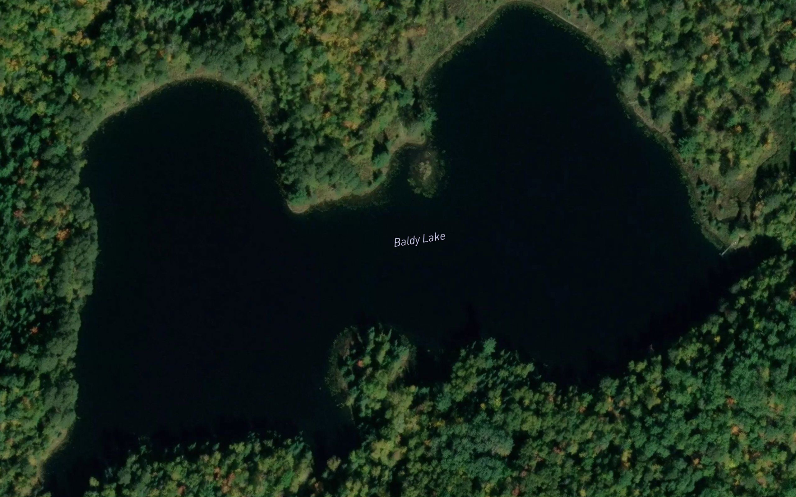 Baldy Lake