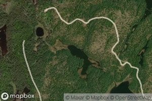 Weedy Lake