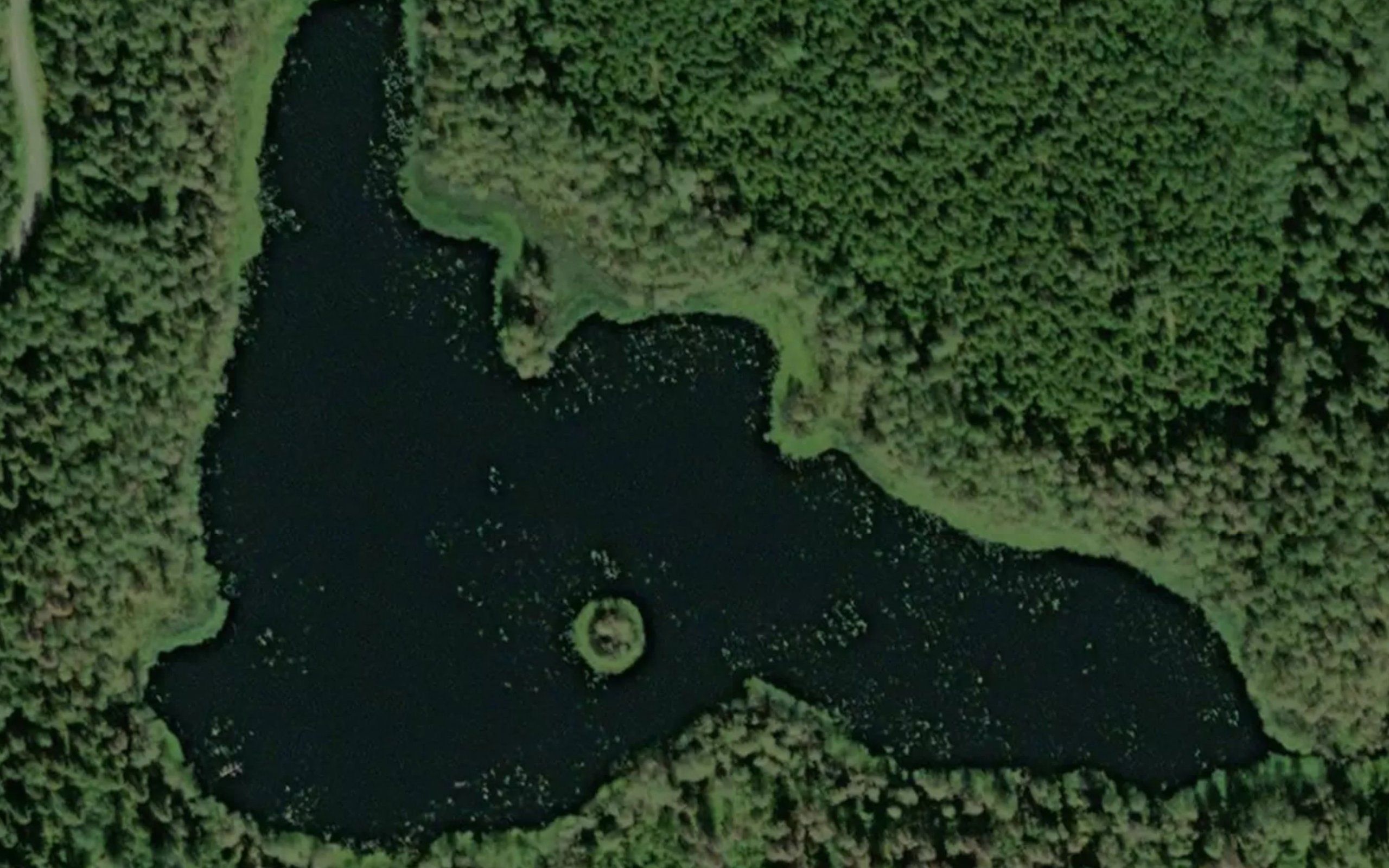 Sammalisenjarvi