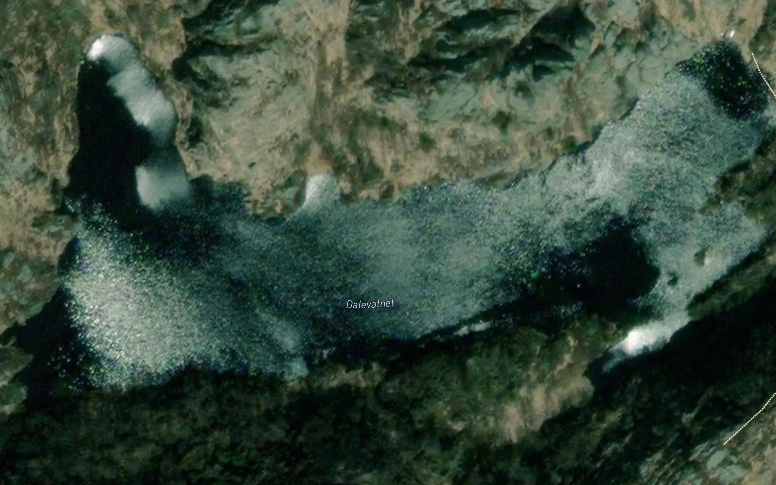 Dalevann