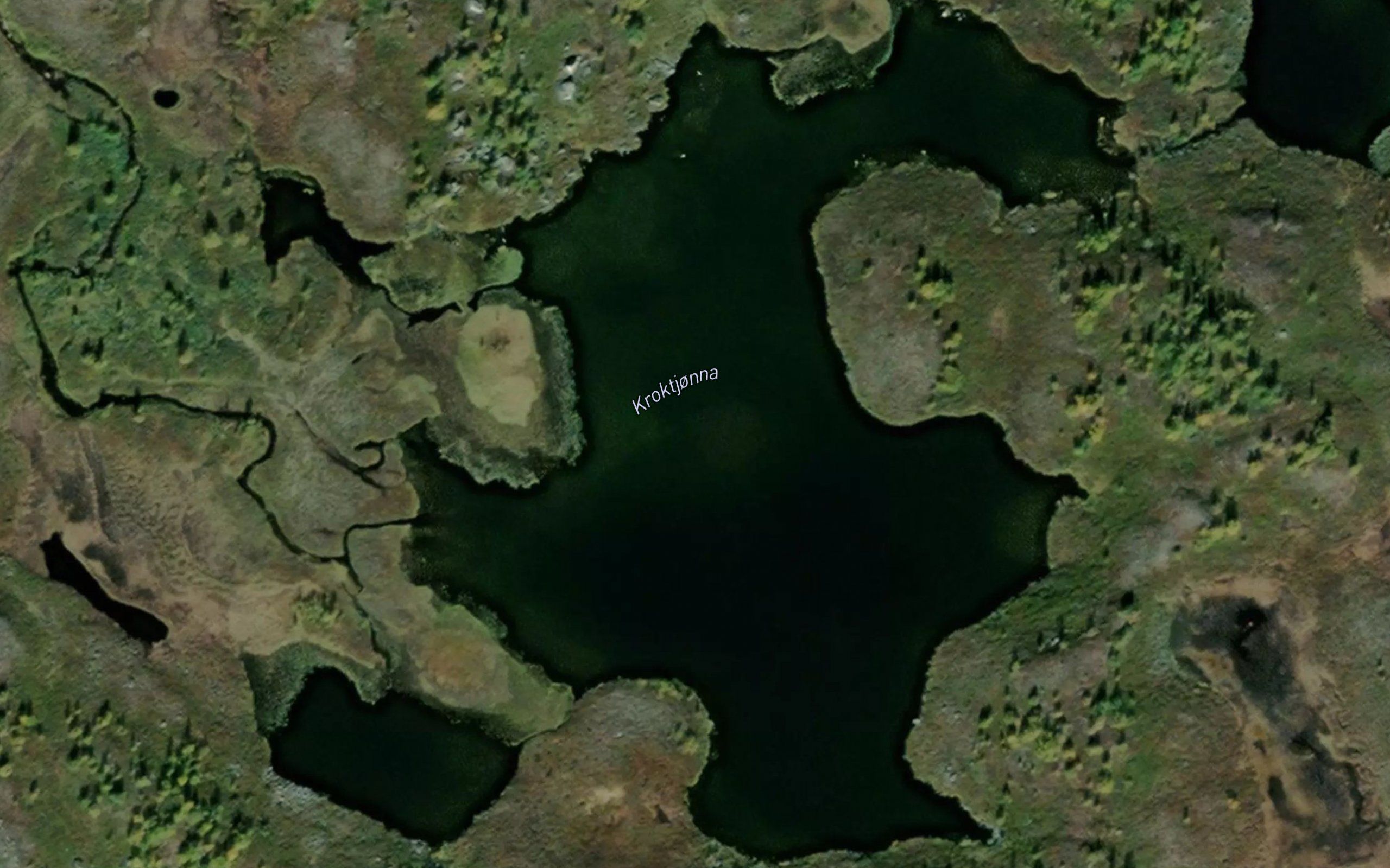 Kroktjorna