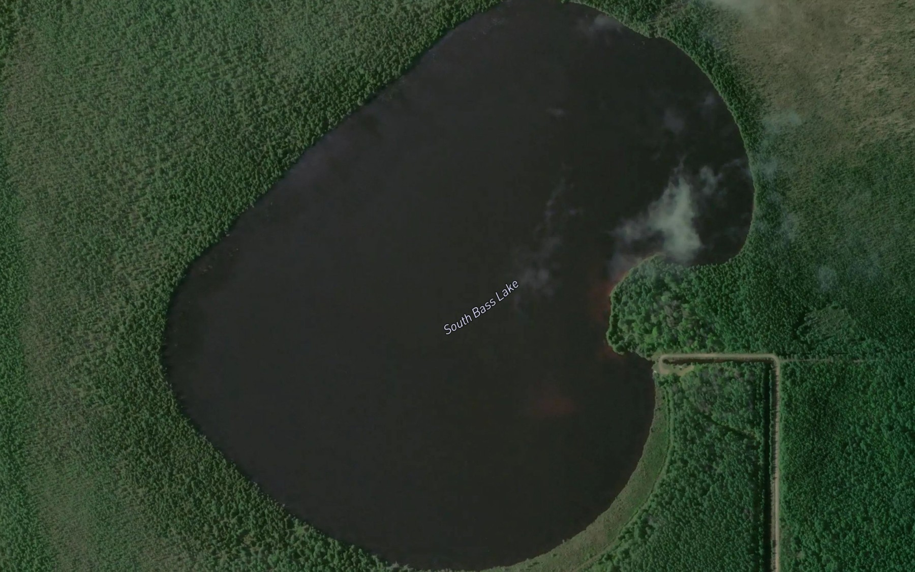 Satellite map of the South Bass Lake