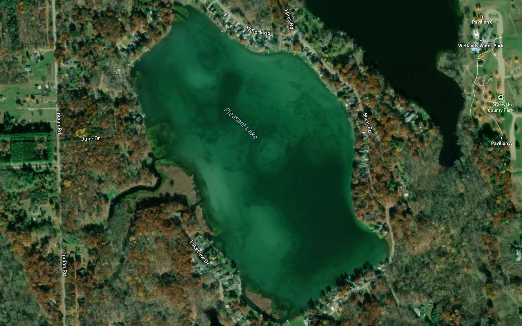Satellite map of the Pleasant Lake