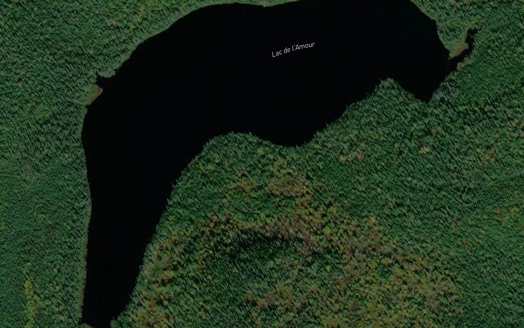 Satellite map of the Lac de l'Amour