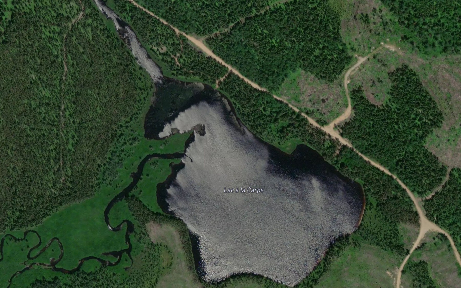 Satellite map of the Lac a la Carpe