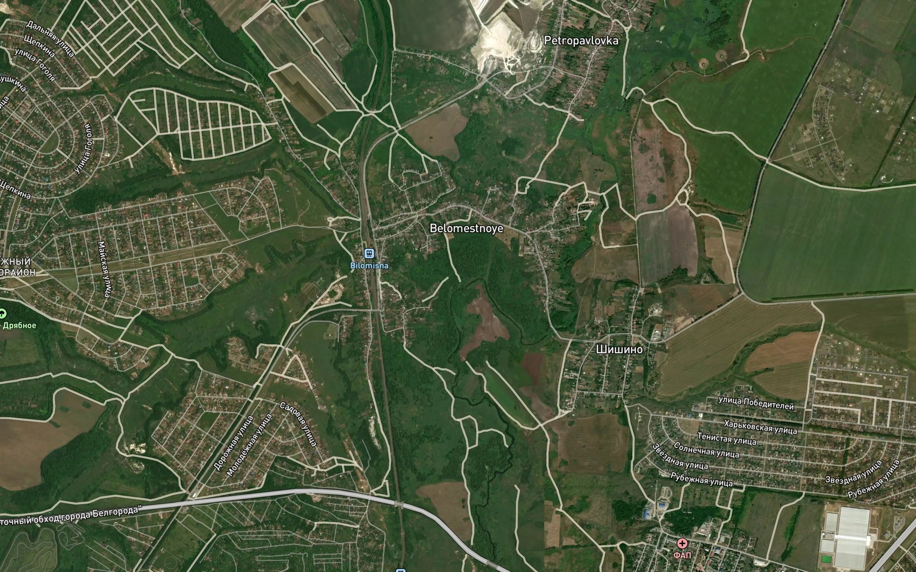 Satellite map of the Lipovyy Donets