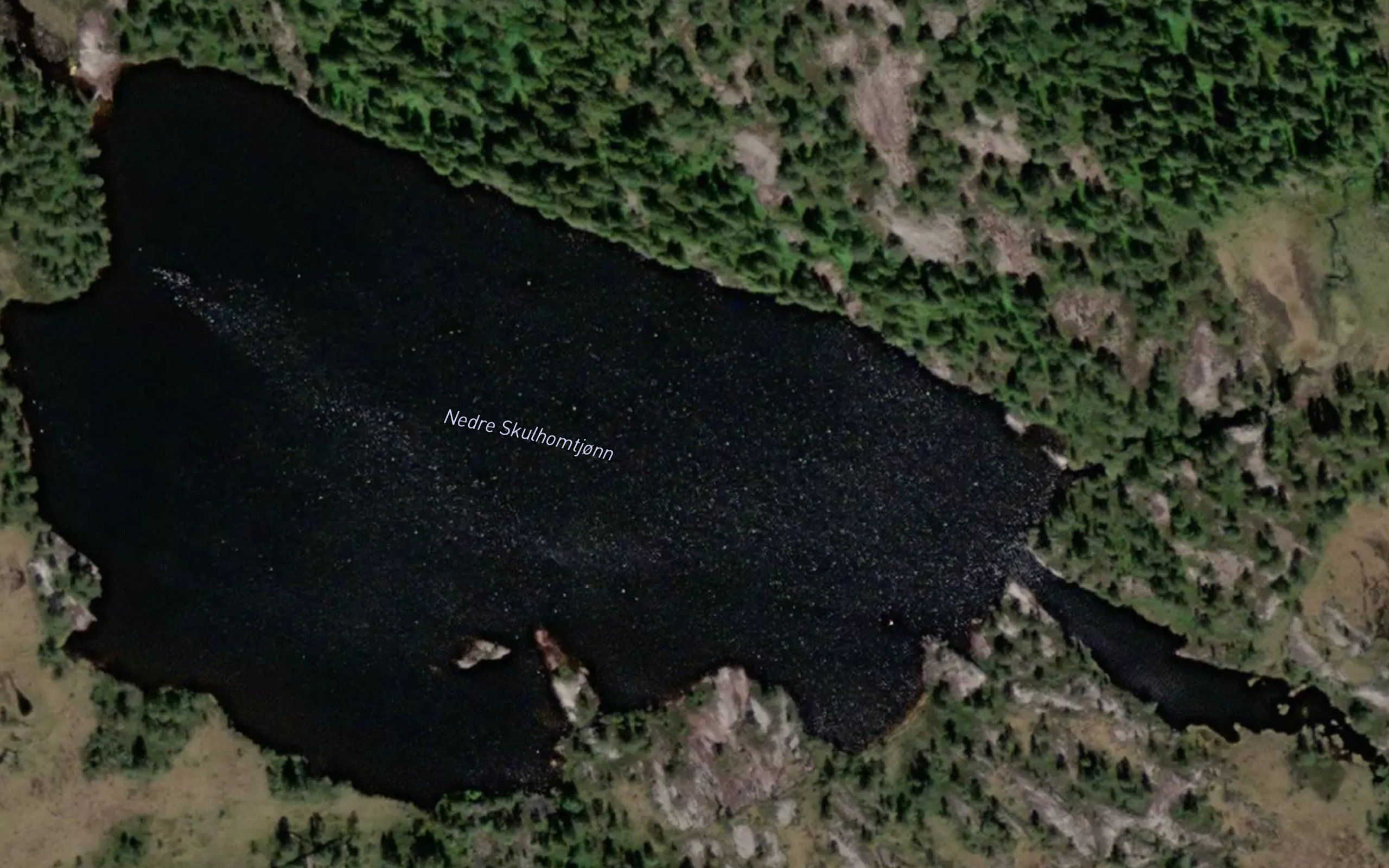 Nedre Skulhomtjonn