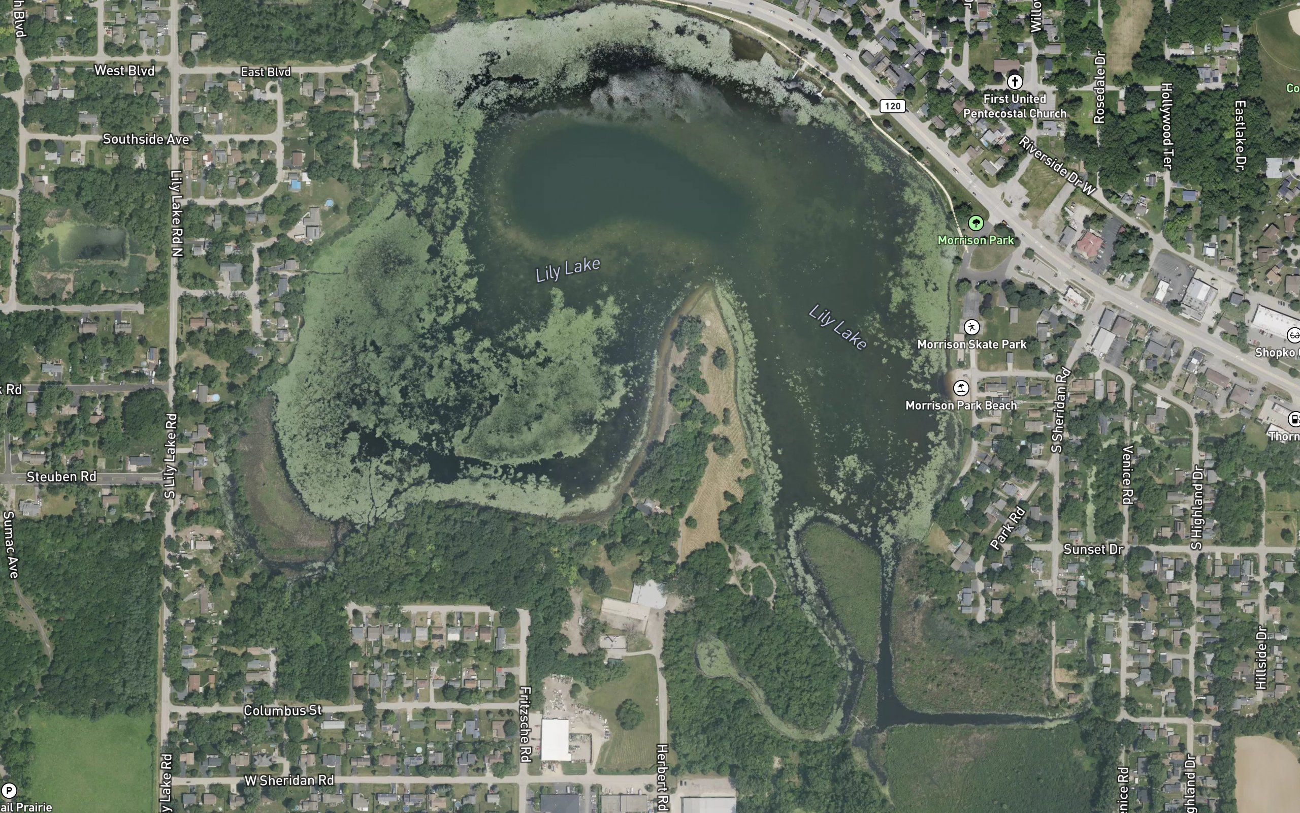 Lily Lake